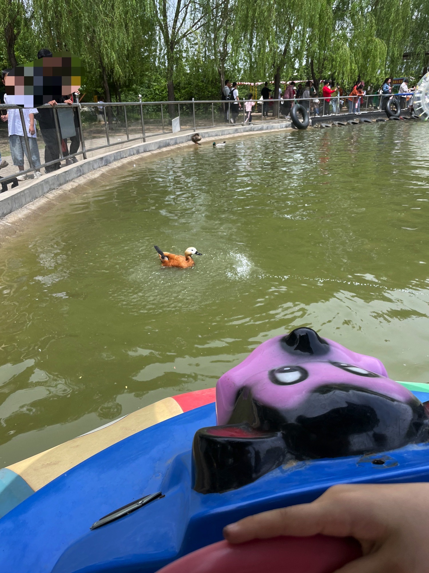 曲阜动物园旅行图片 1