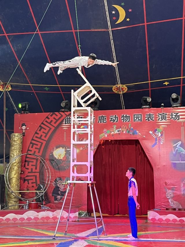 曲阜动物园旅行图片 1