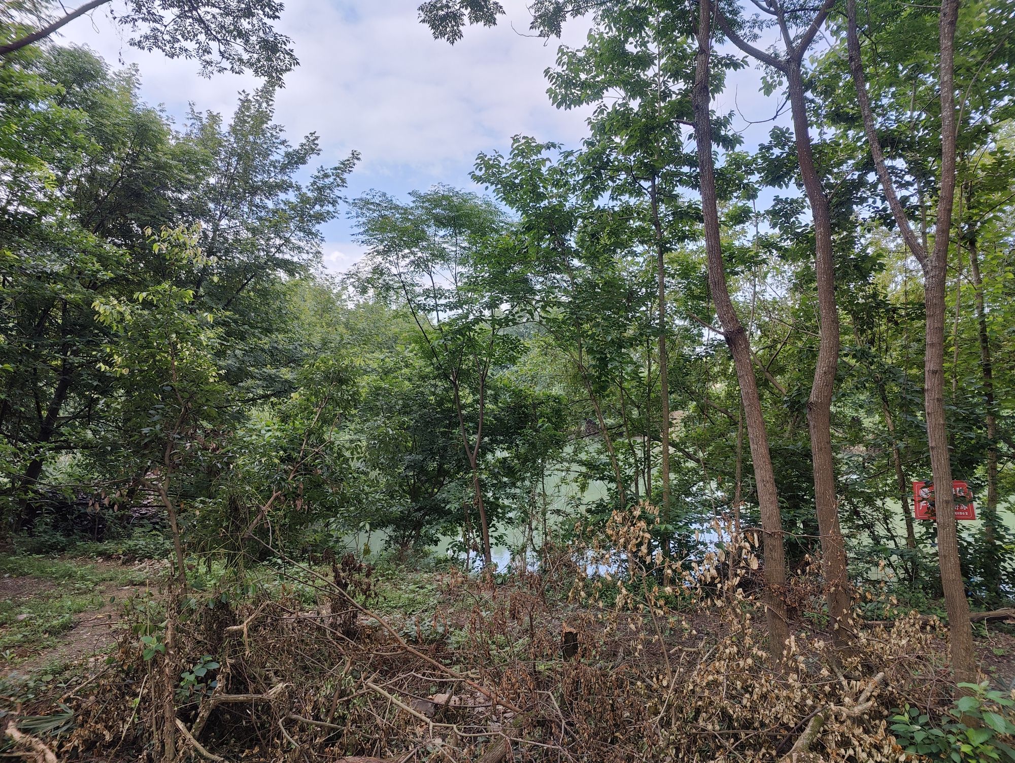 蒋家洲生态湿地风景区旅行图片 1