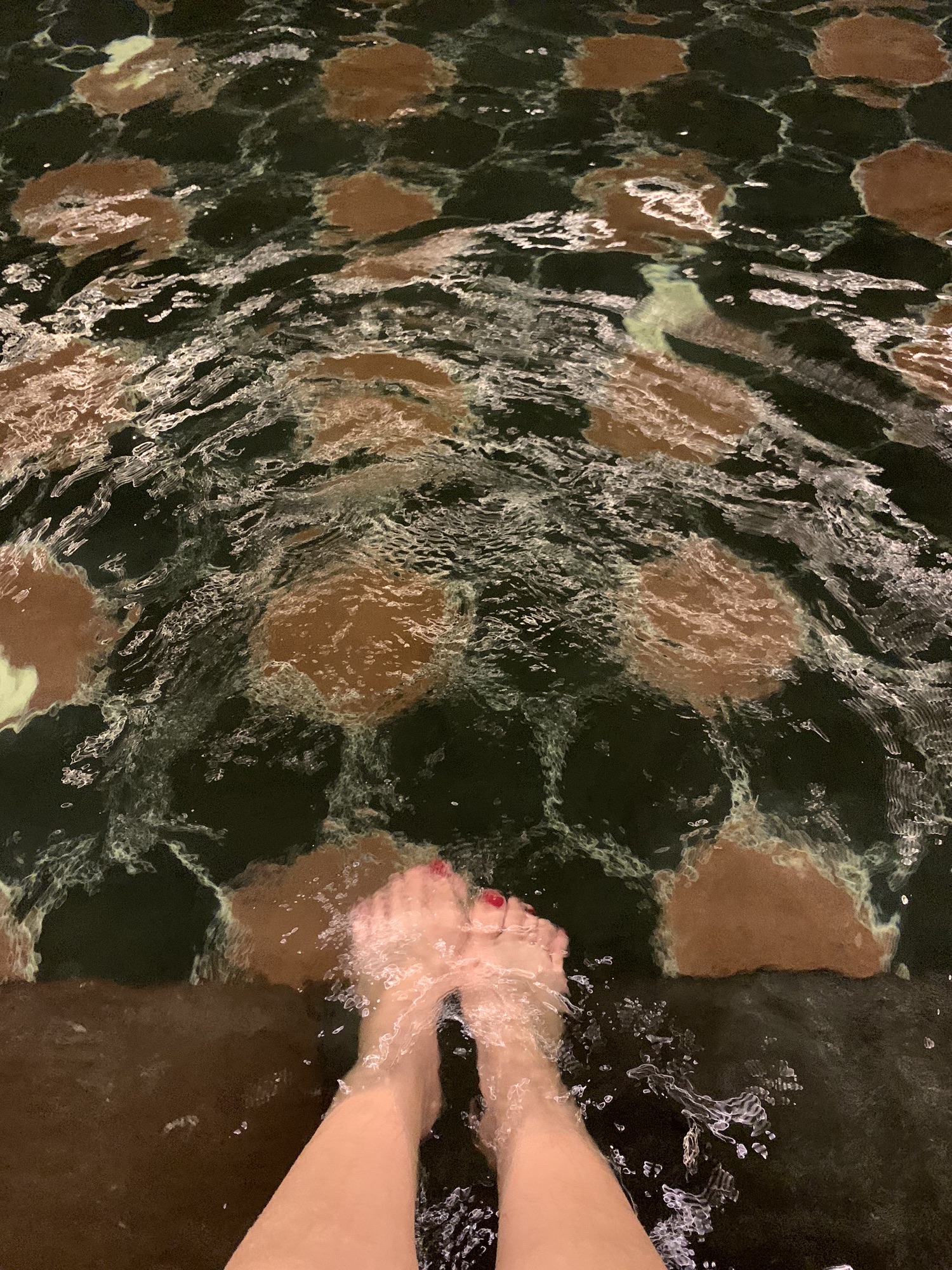 长白山乐高美温泉度假酒店旅行图片 1
