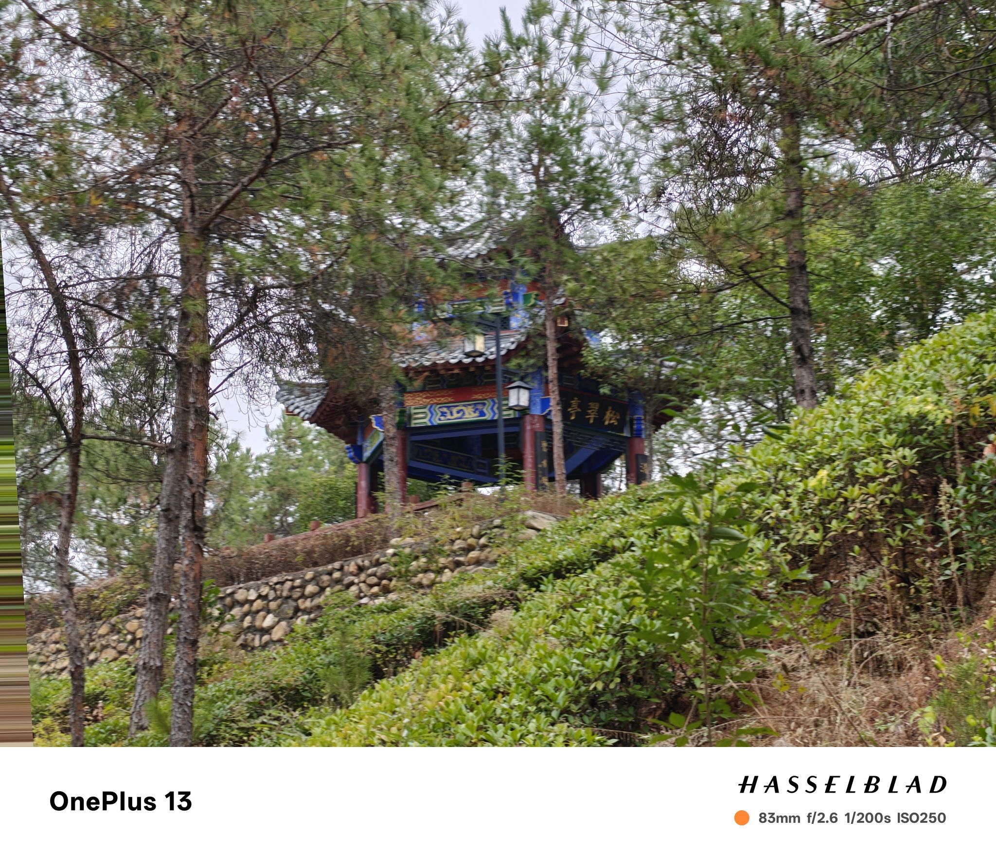 青峰山森林公园旅行图片 3