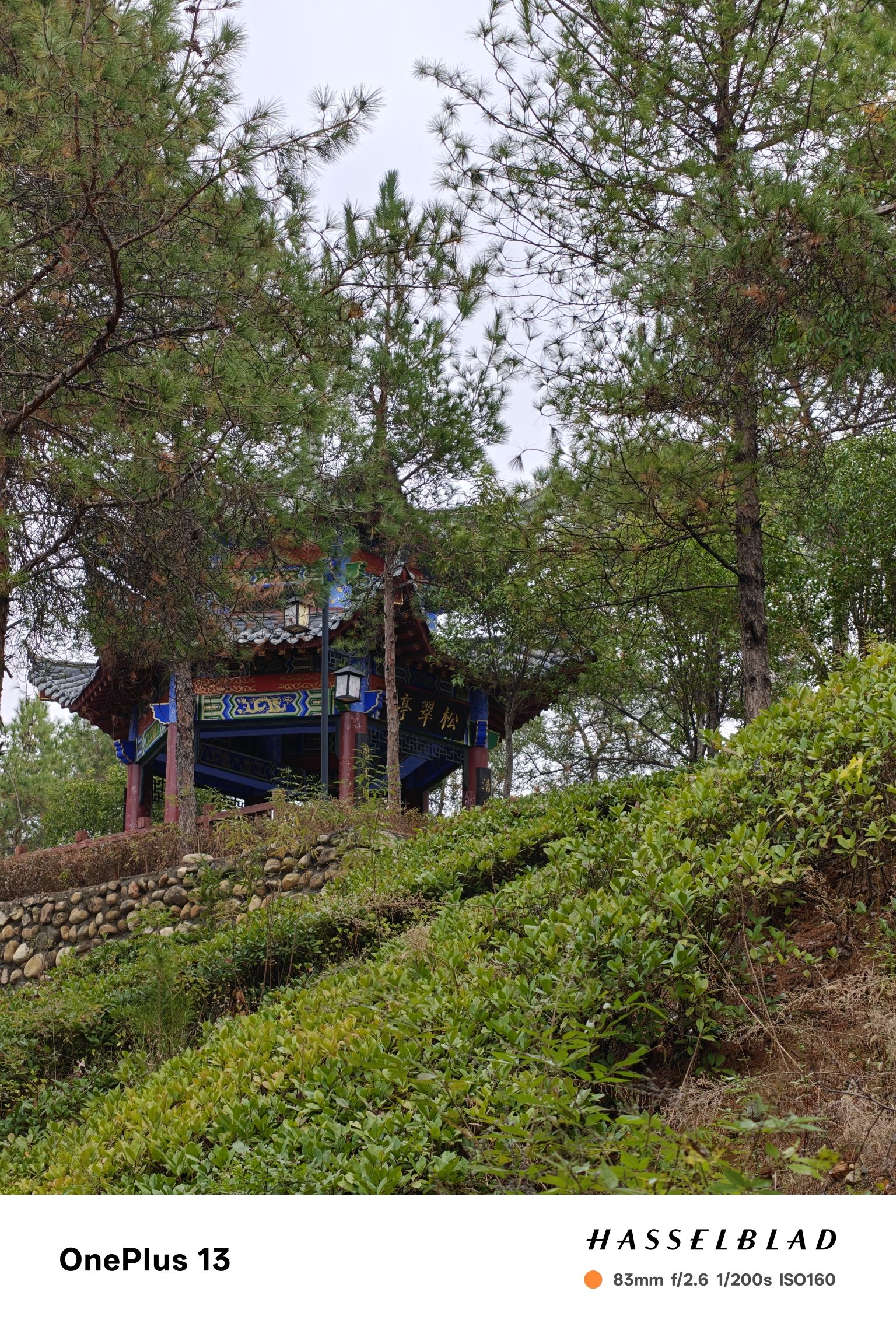 青峰山森林公园旅行图片 2