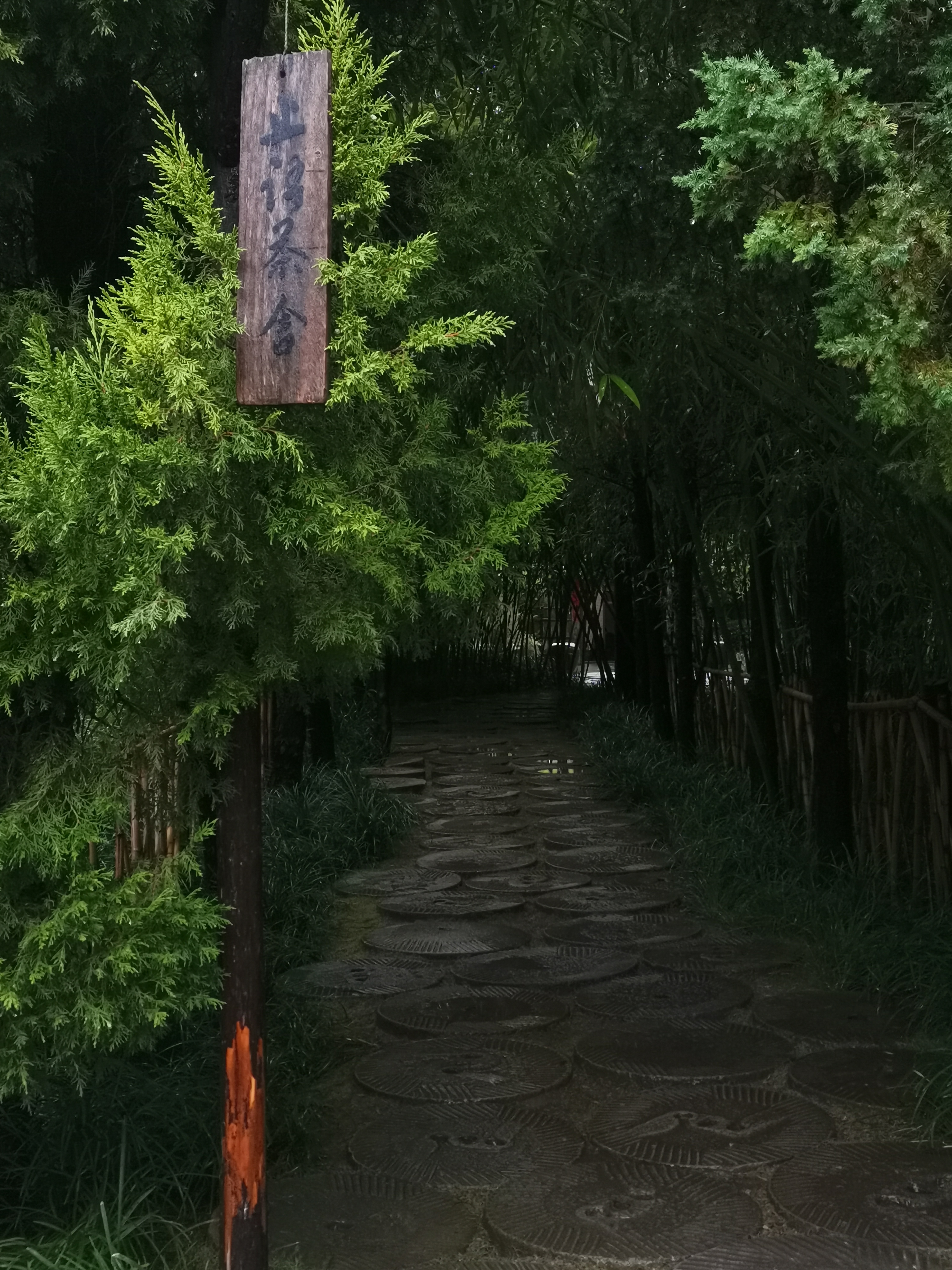 青峰山森林公园旅行图片 1