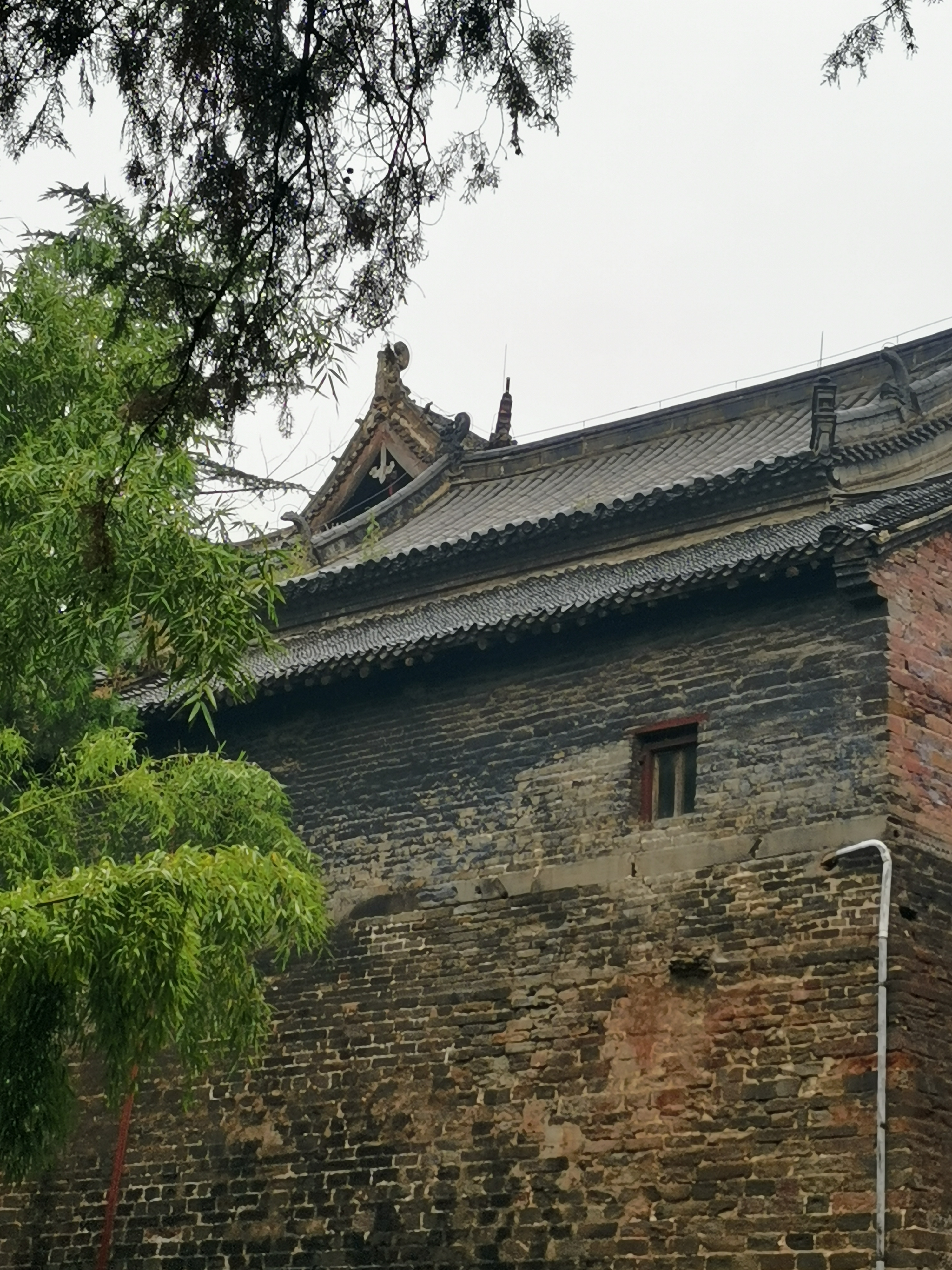 青峰山森林公园旅行图片 2