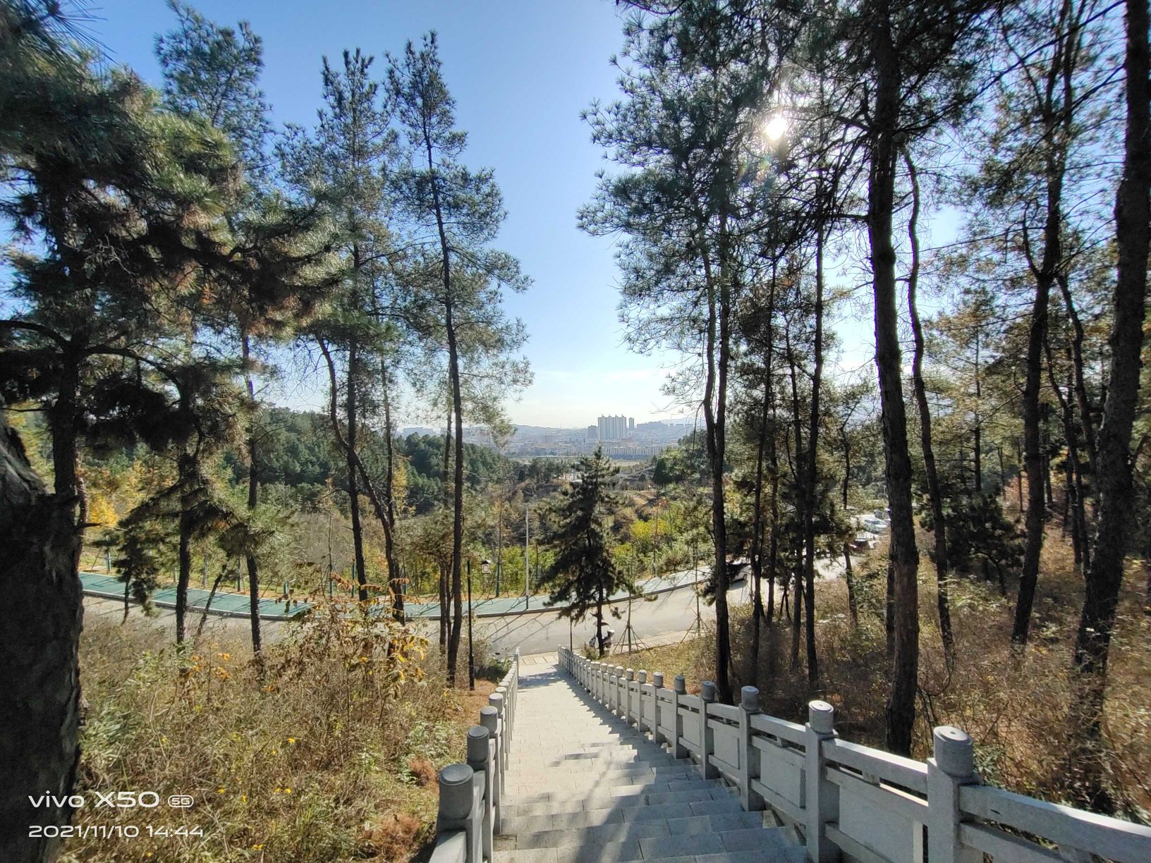 青峰山森林公园旅行图片 1