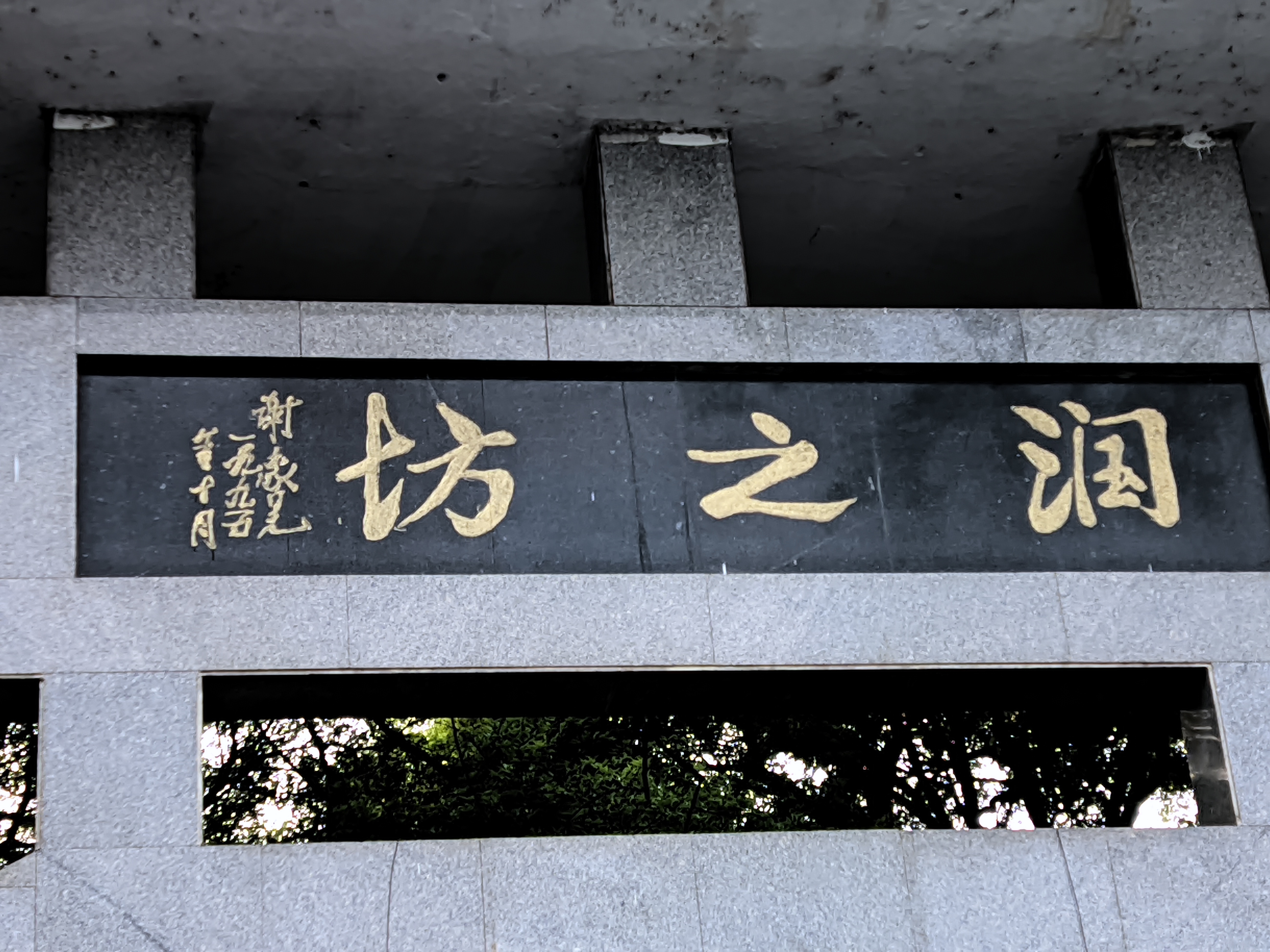 飞龙岛公园旅行图片 3