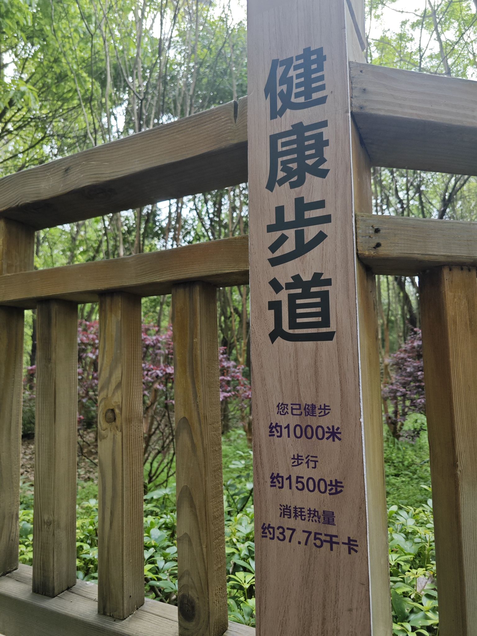 飞龙岛公园旅行图片 3