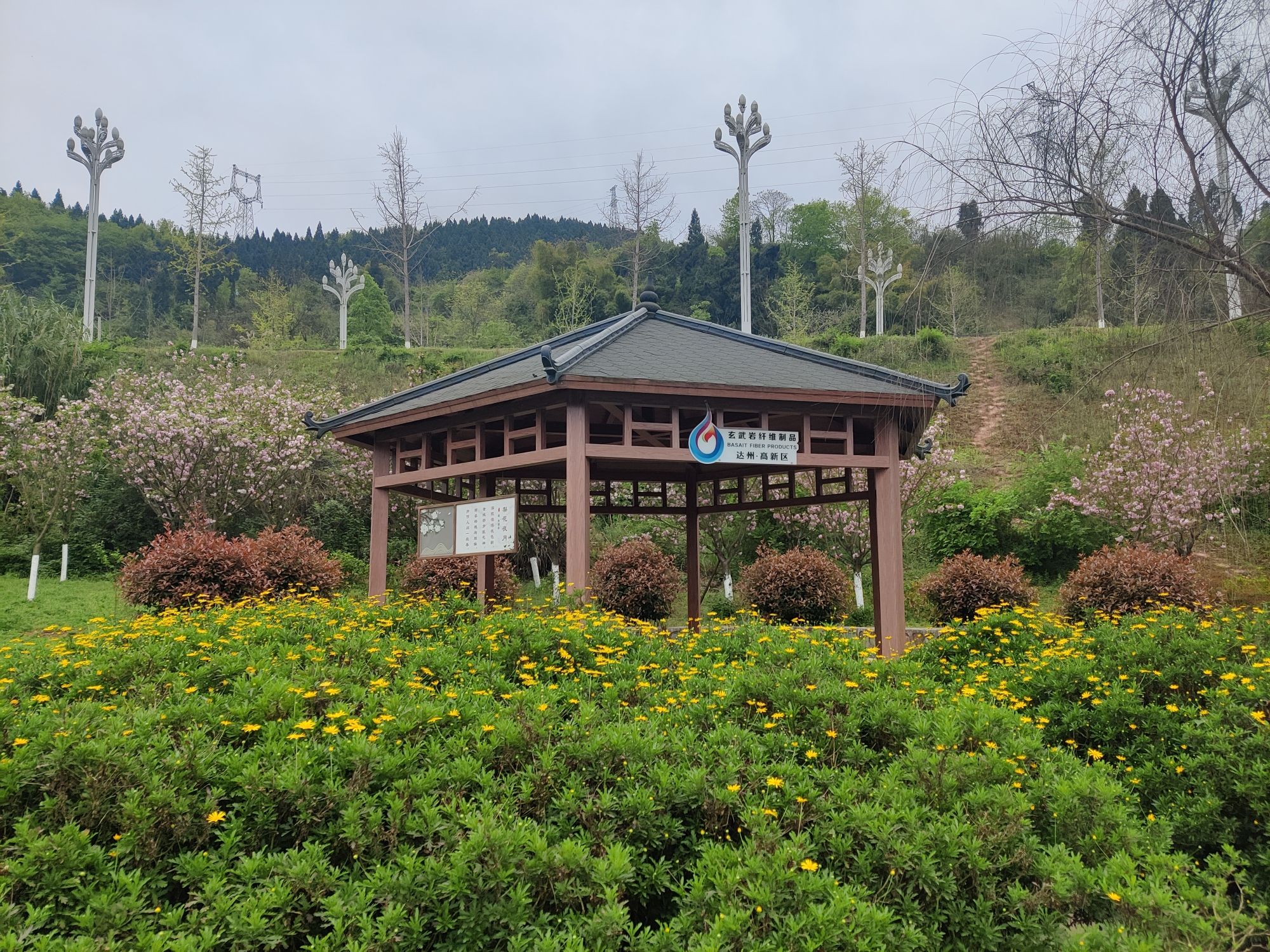 梨树坪湿地公园旅行图片 3