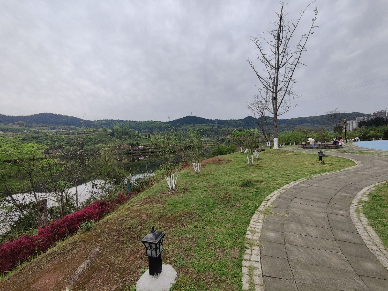 梨树坪湿地公园旅行图片 1