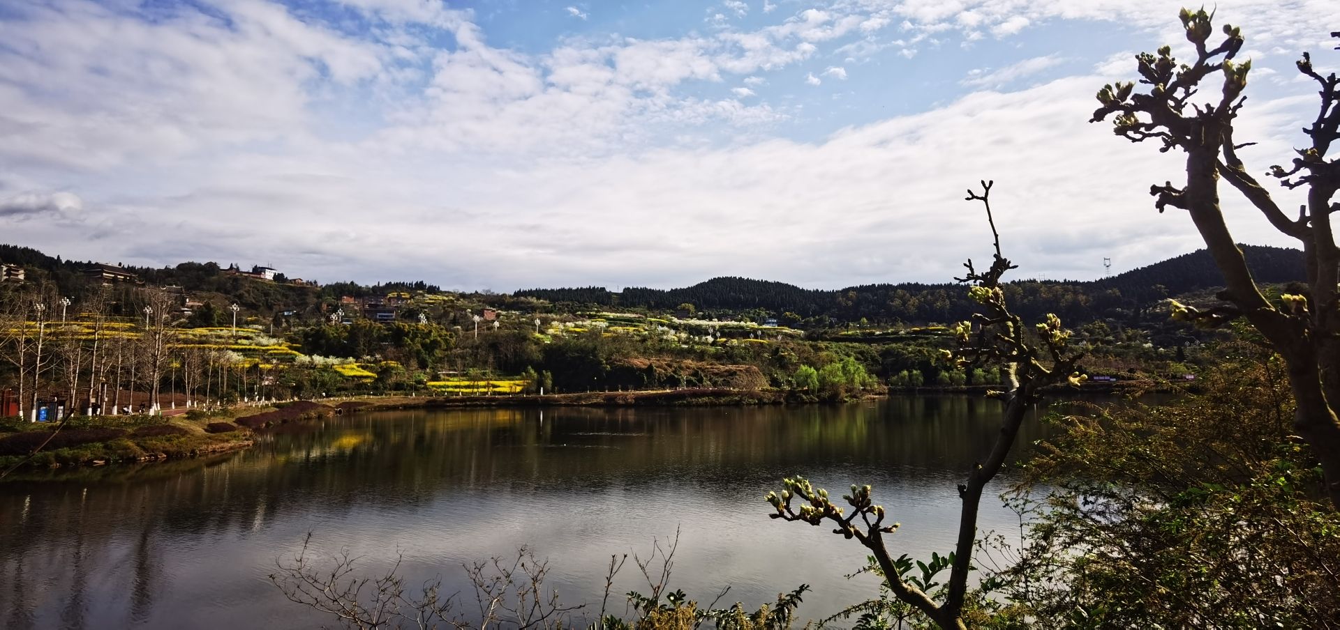 梨树坪湿地公园旅行图片 2