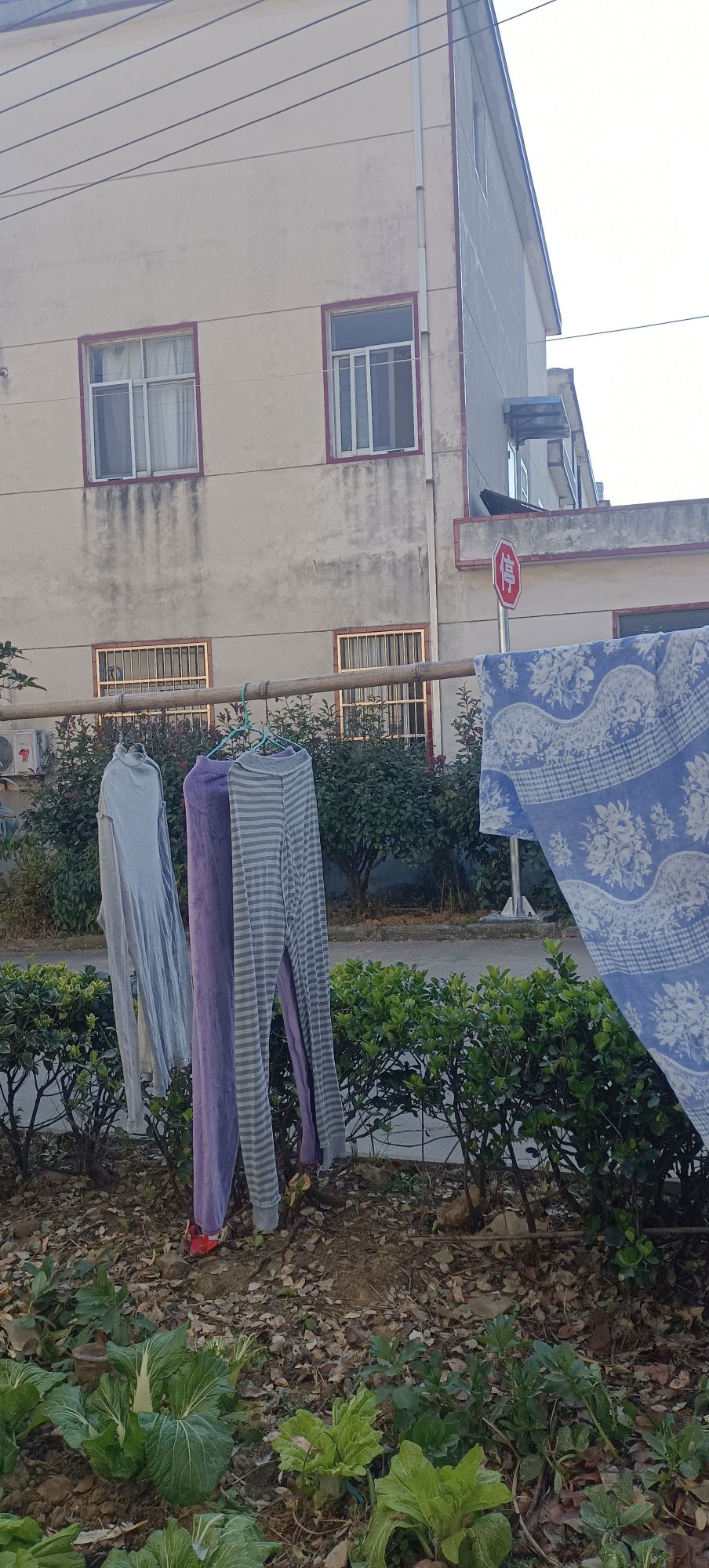 范岗人民广场旅行图片 1