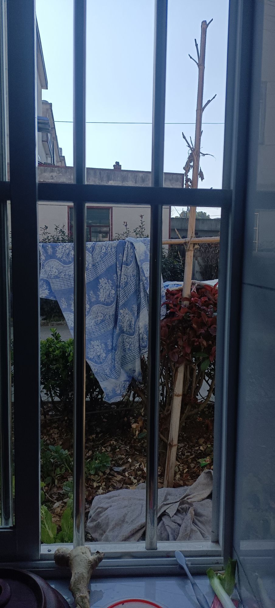 范岗人民广场旅行图片 2