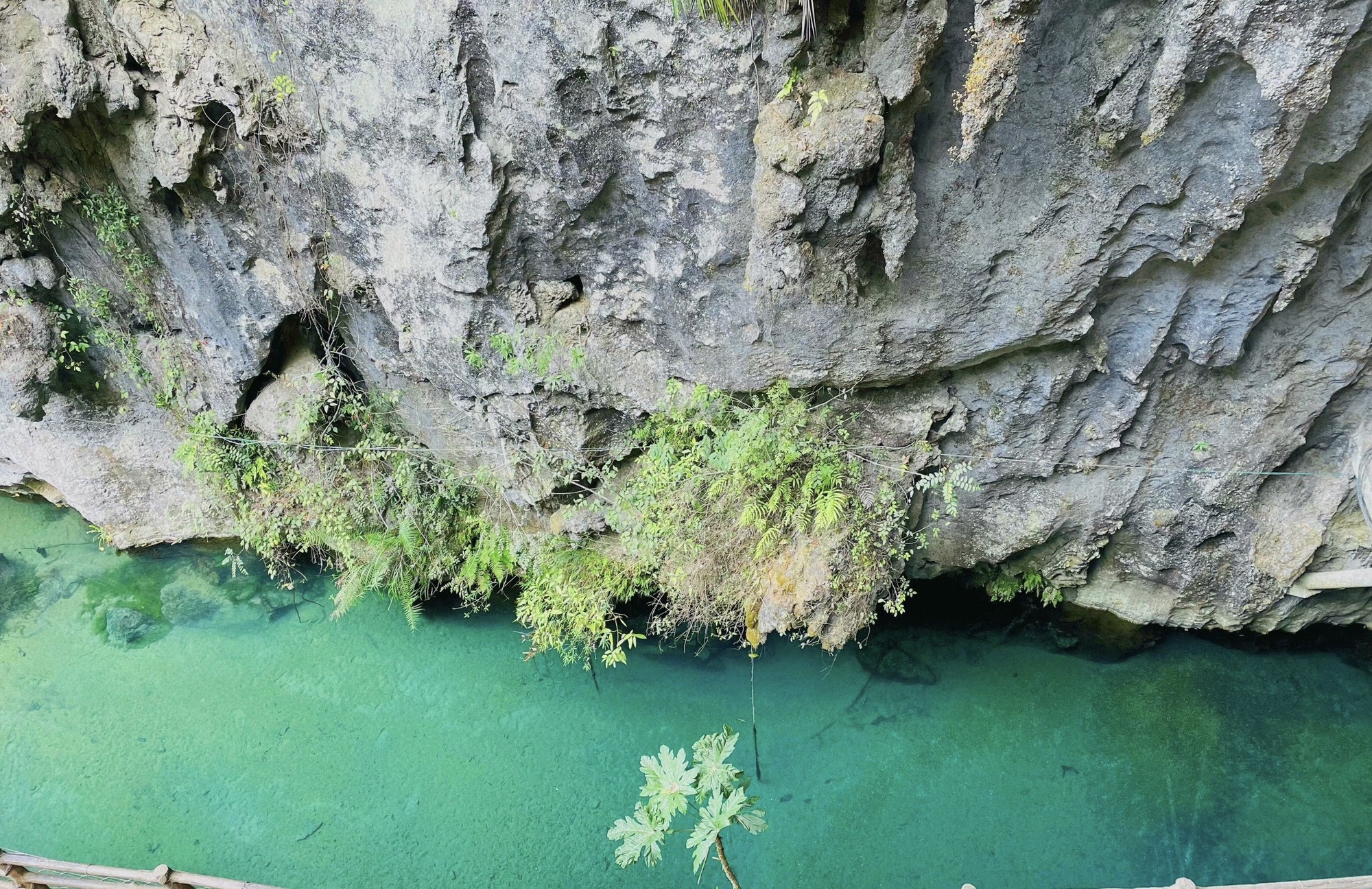 丹炉山景区旅行图片 1