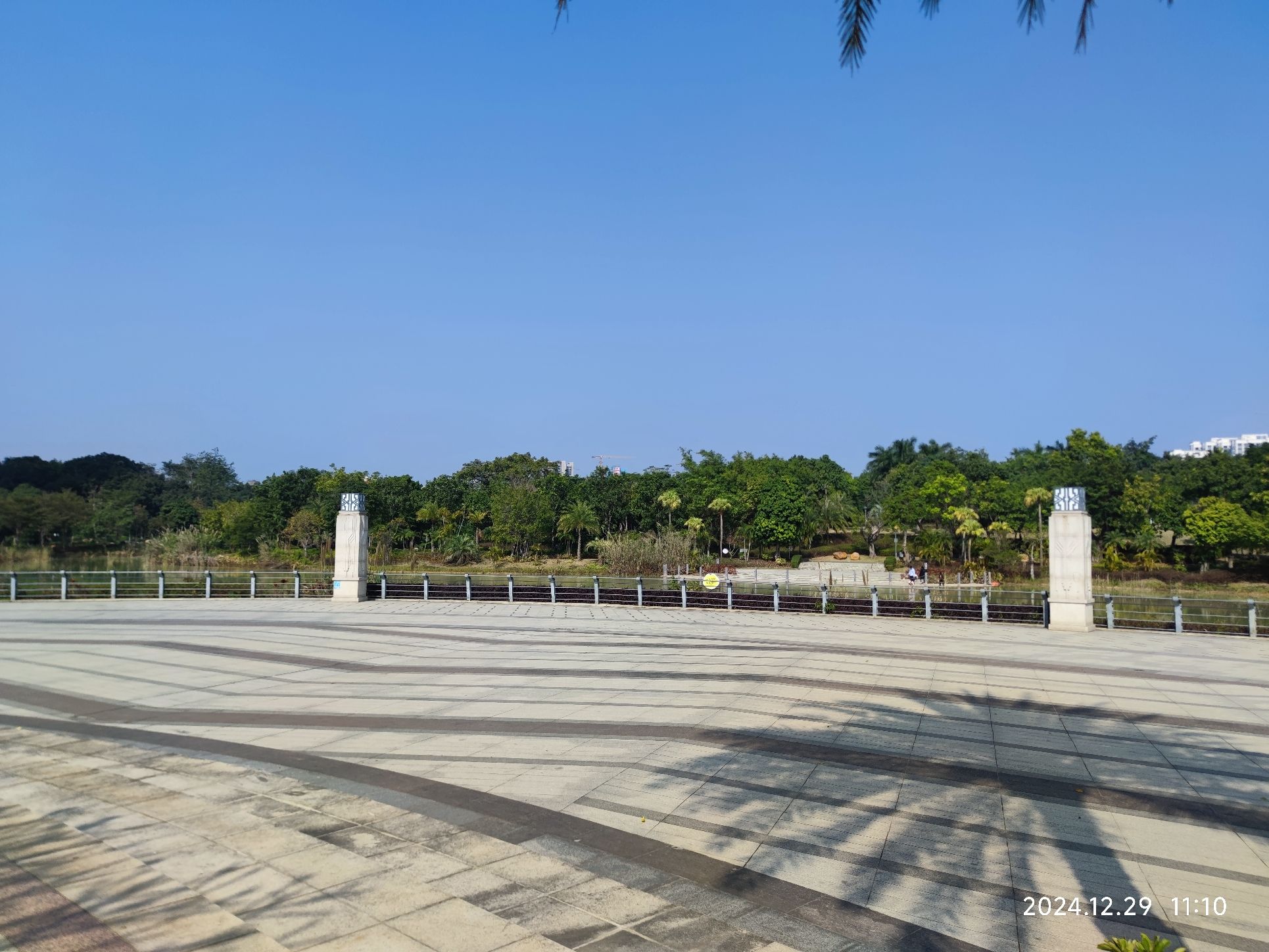 东菊公园旅行图片 2