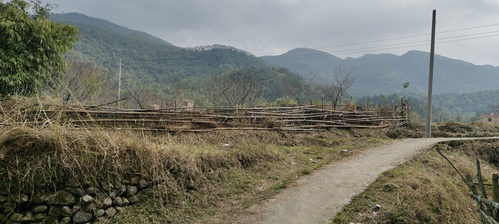 冷坑三坑湖泌桃花园