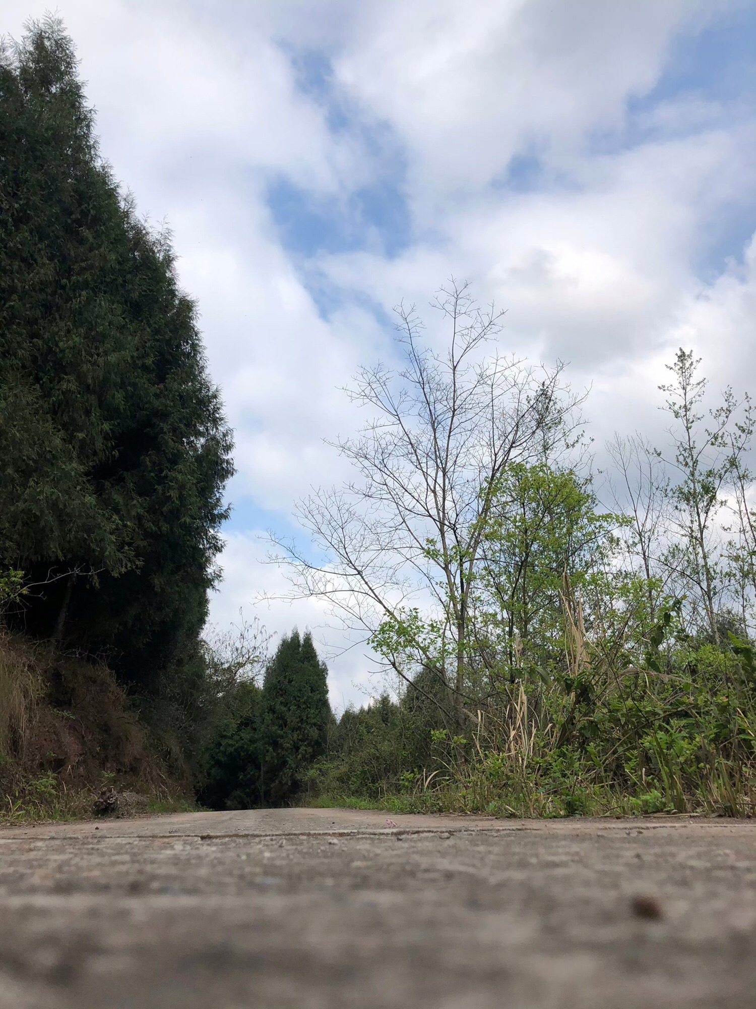 七坪寨乡村旅游景区旅行图片 1