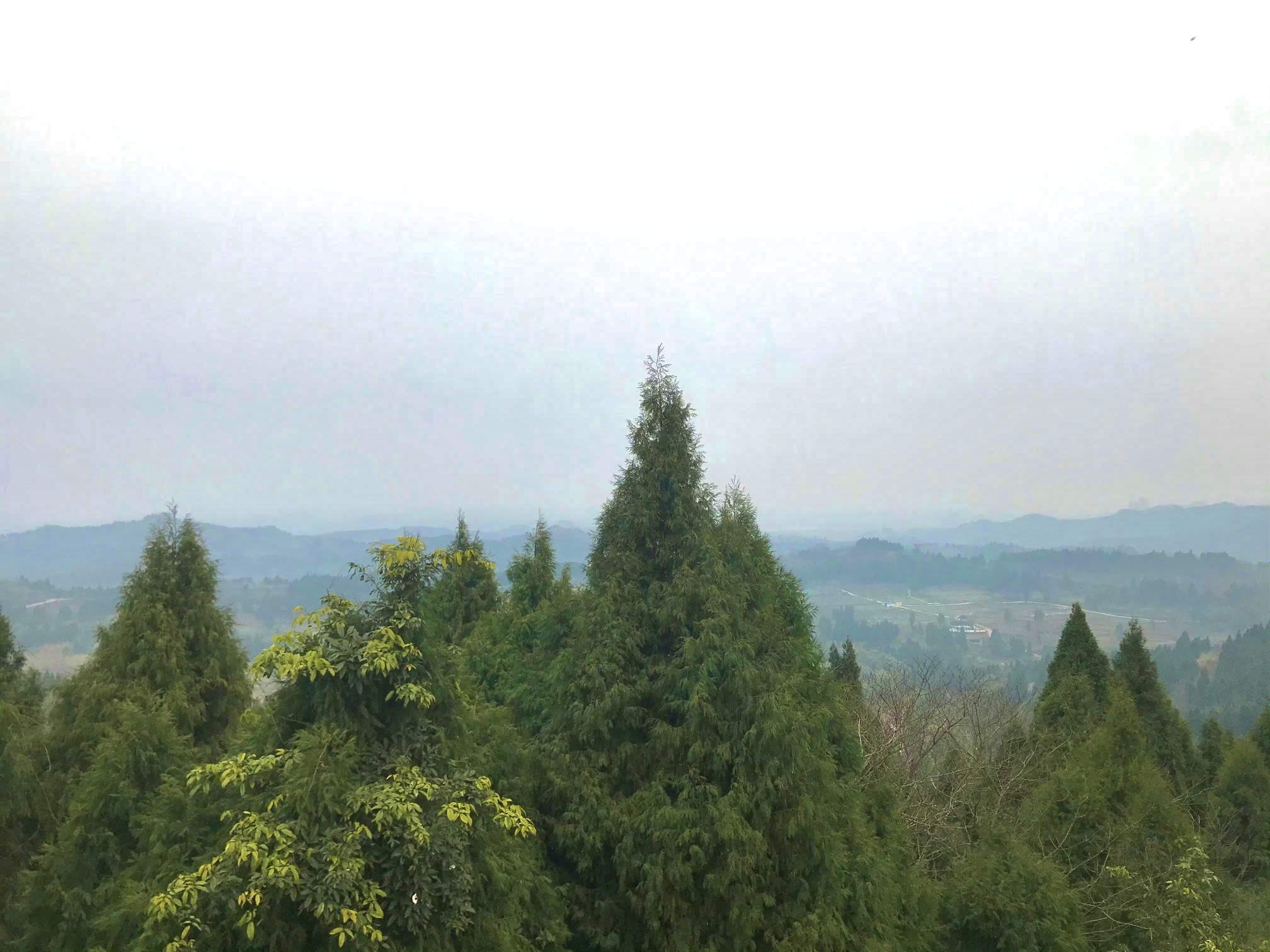 七坪寨乡村旅游景区旅行图片 1