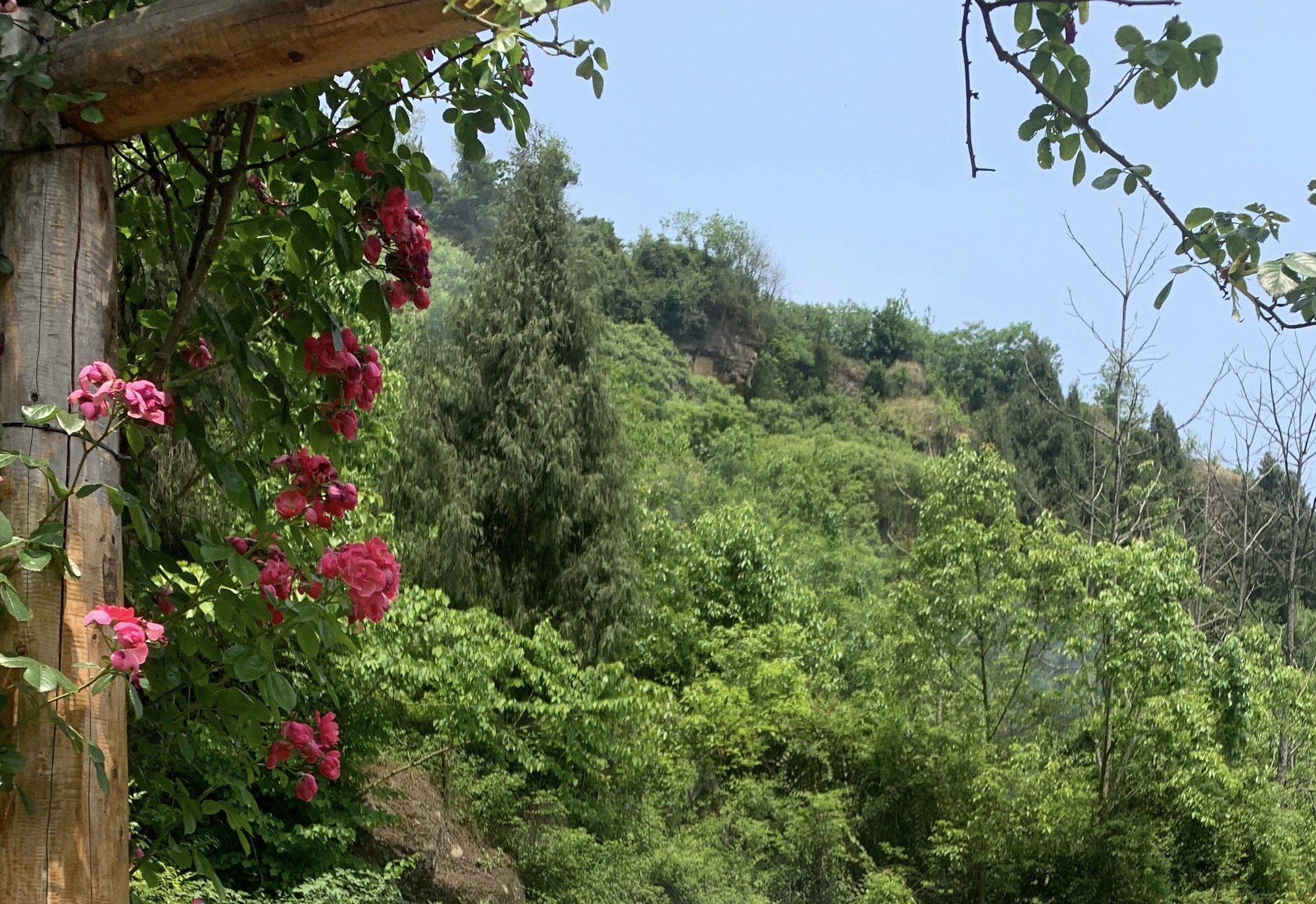 七坪寨乡村旅游景区旅行图片 1
