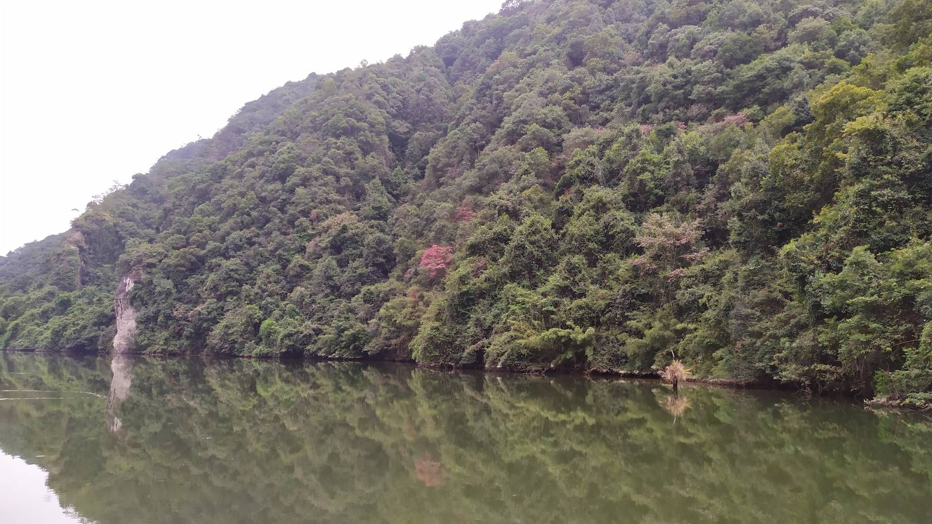 松溪河景区旅行图片 1