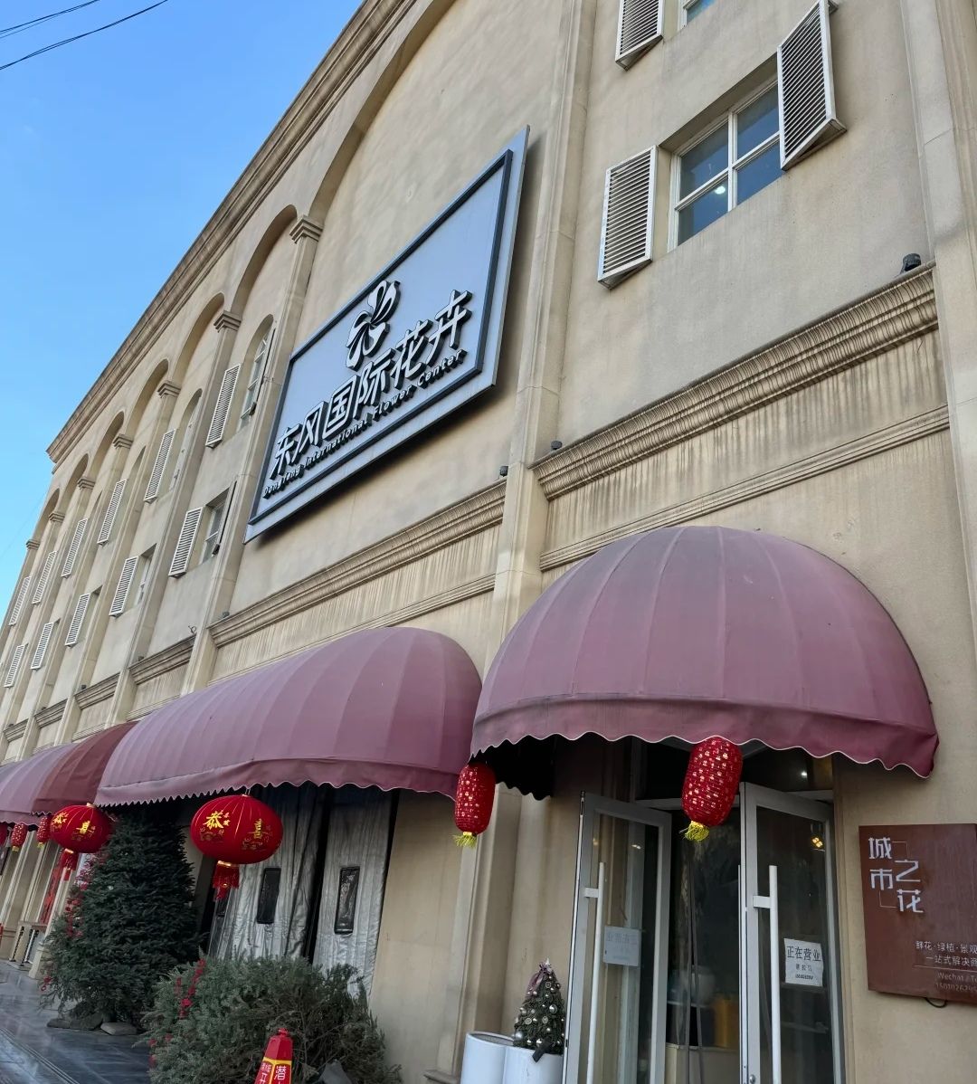 东风国际花卉