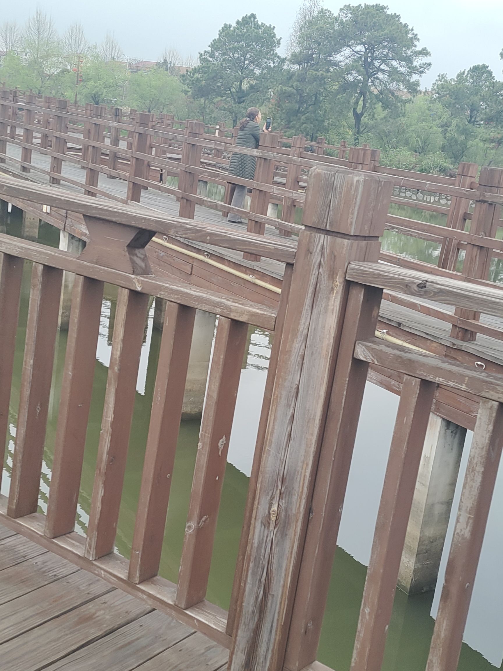 金甲梨园旅行图片 3
