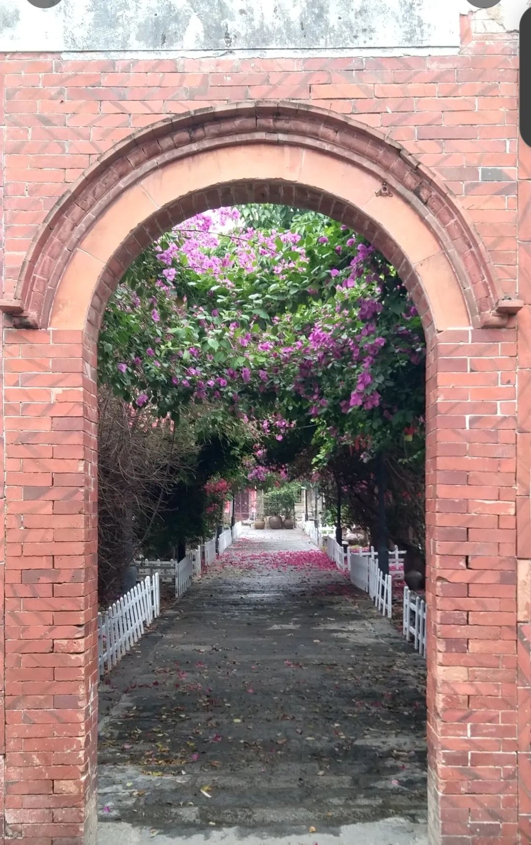 蔡家堡旅行图片 3