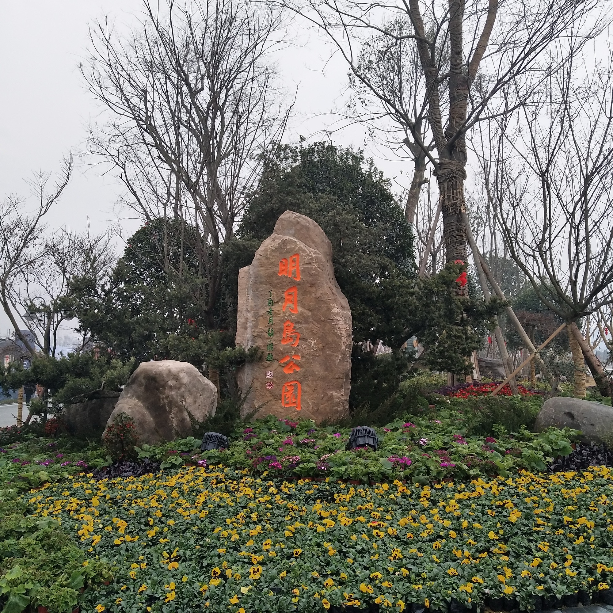明月岛公园旅行图片 1
