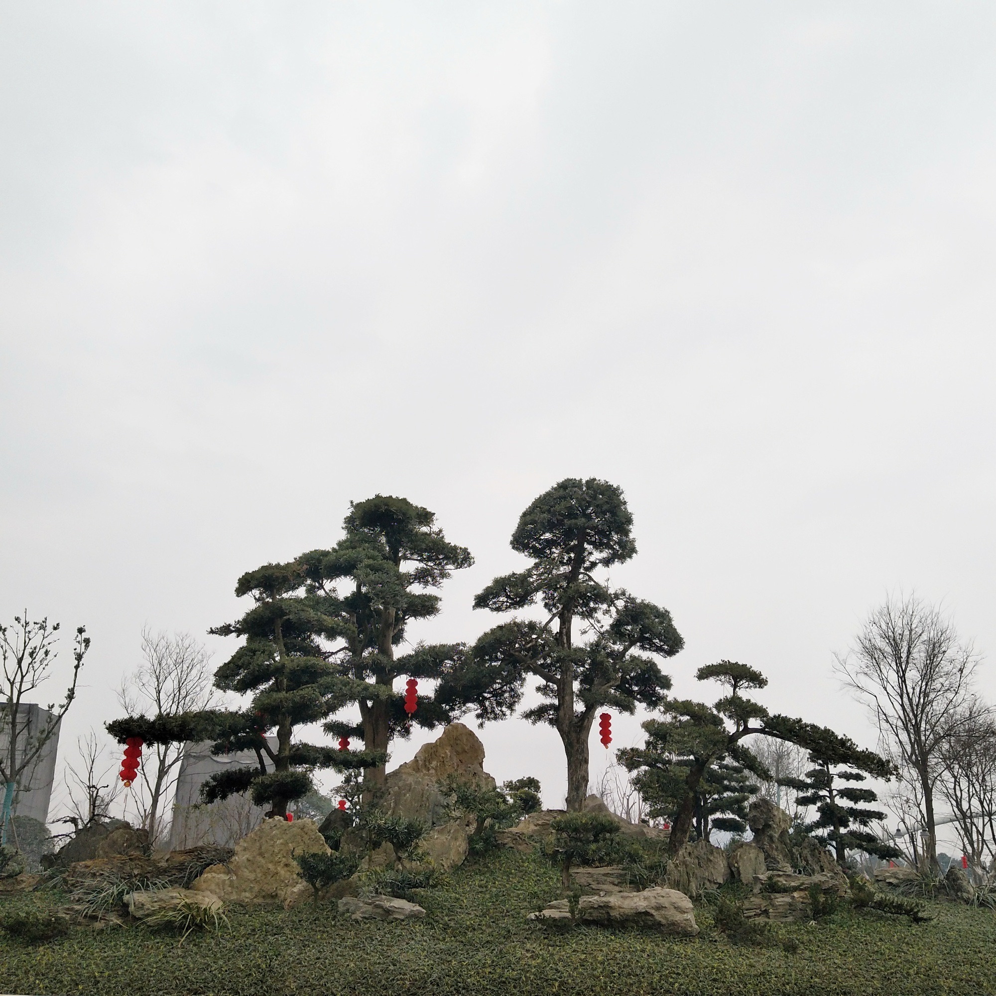 明月岛公园旅行图片 2