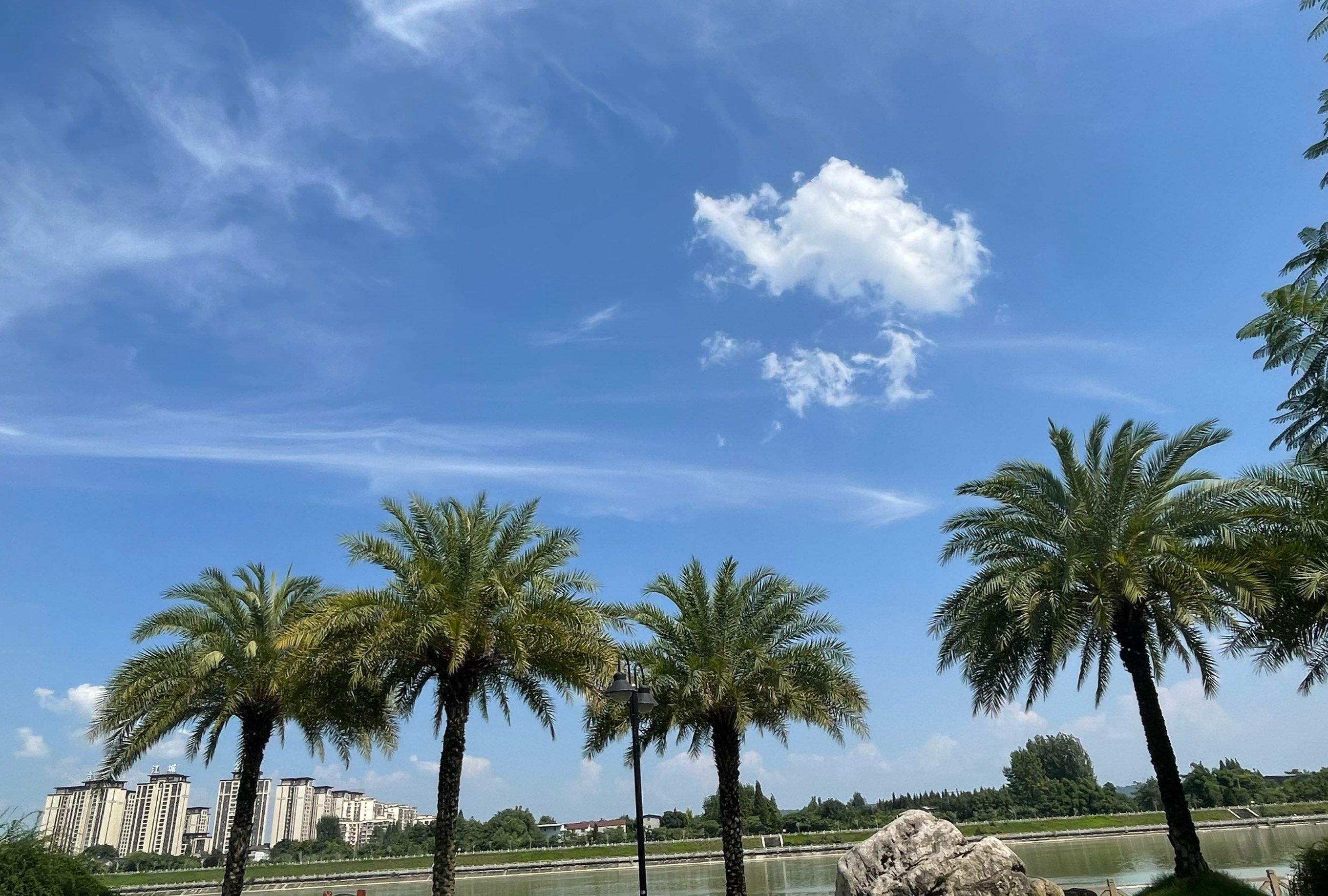 明月岛公园旅行图片 3