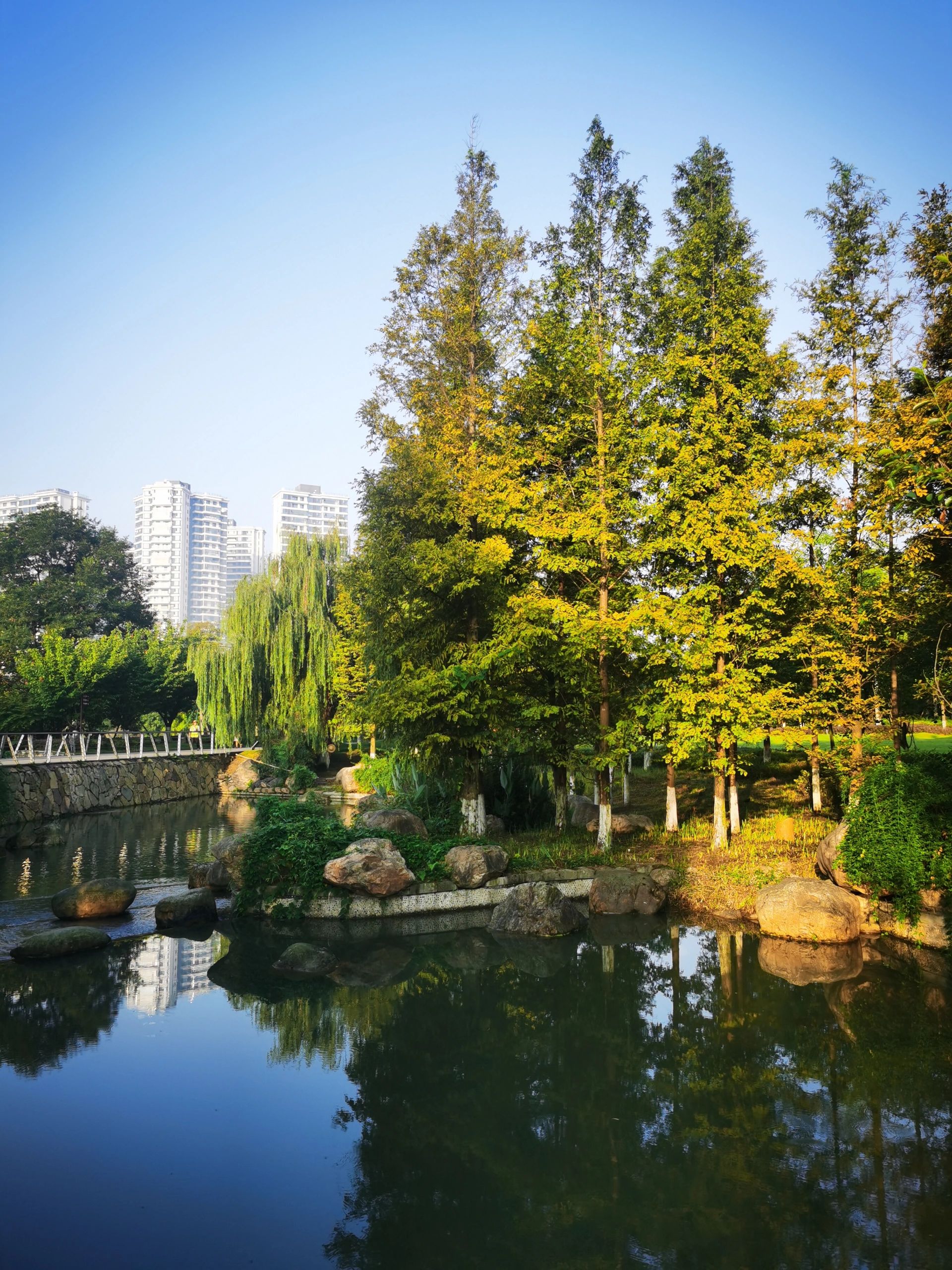 明月岛公园旅行图片 1