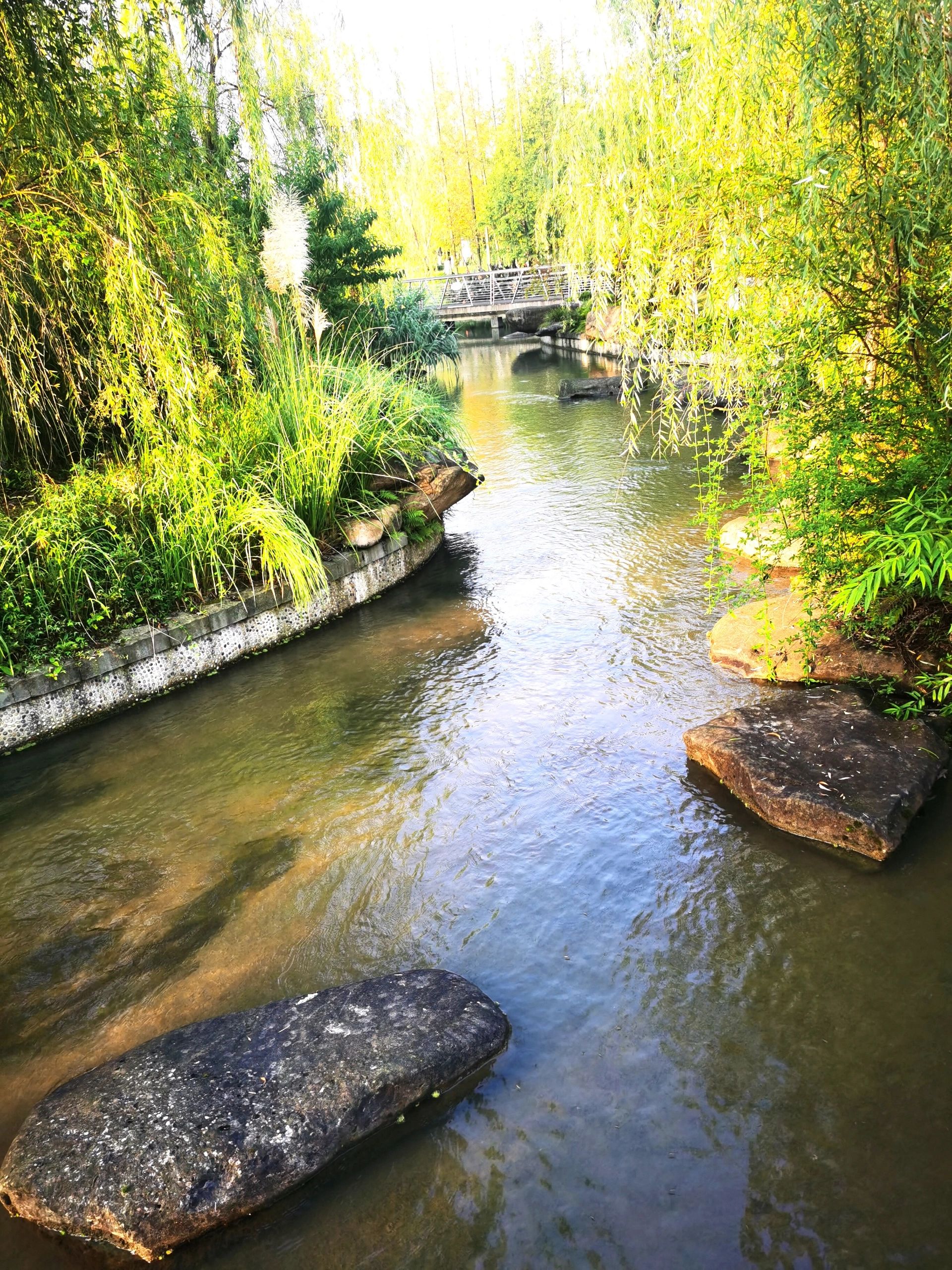 明月岛公园旅行图片 3