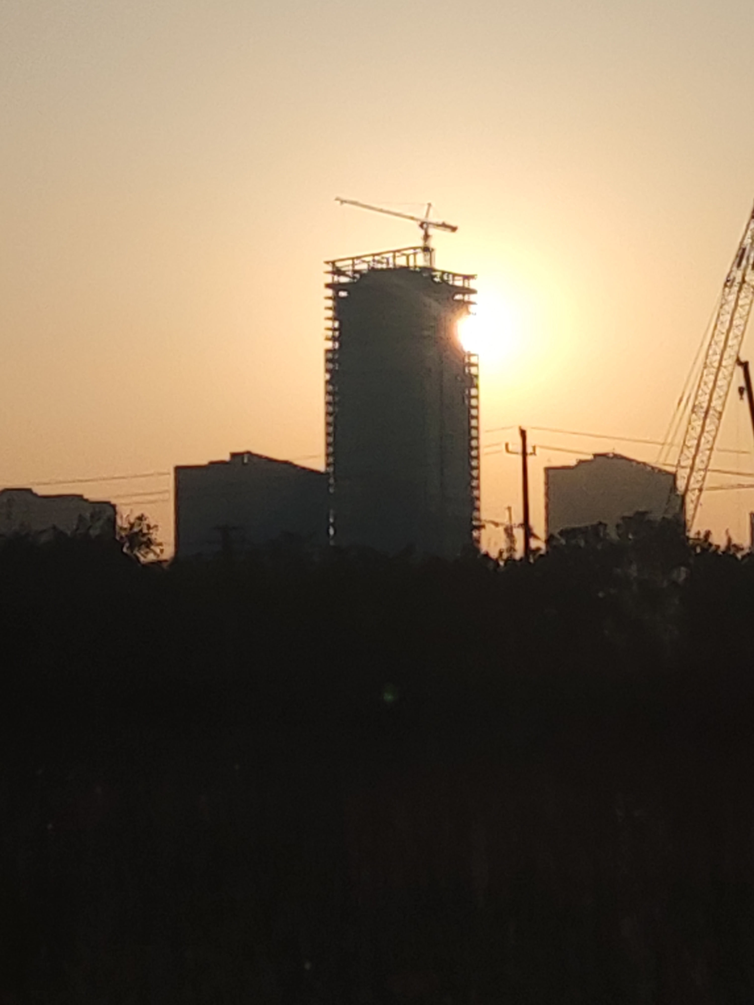 中央公园(建设中)旅行图片 3