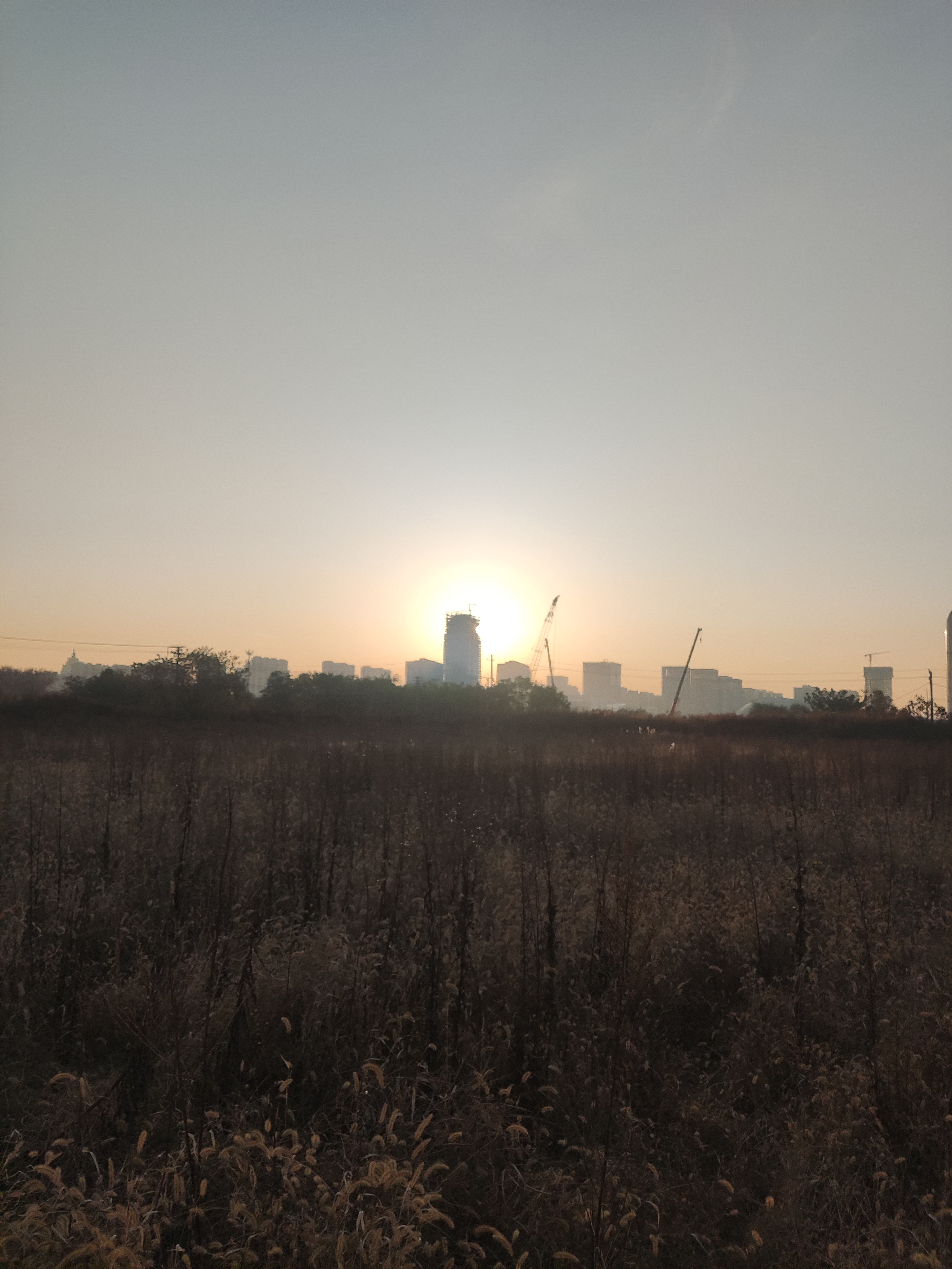 中央公园(建设中)旅行图片 1