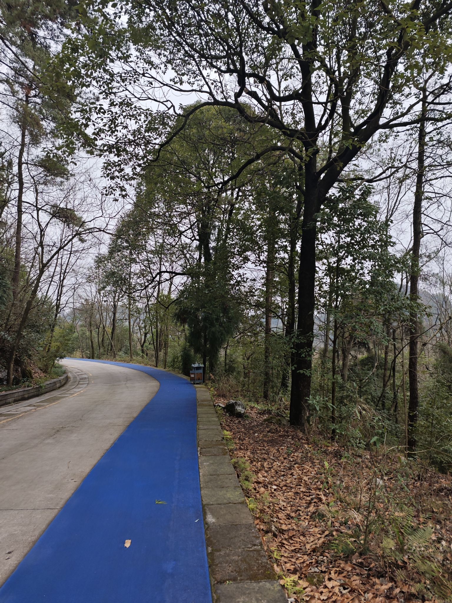 环翠阁旅行图片 2