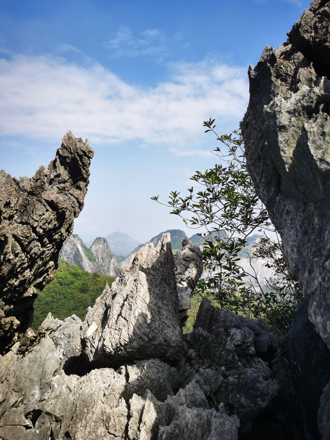 望天寺