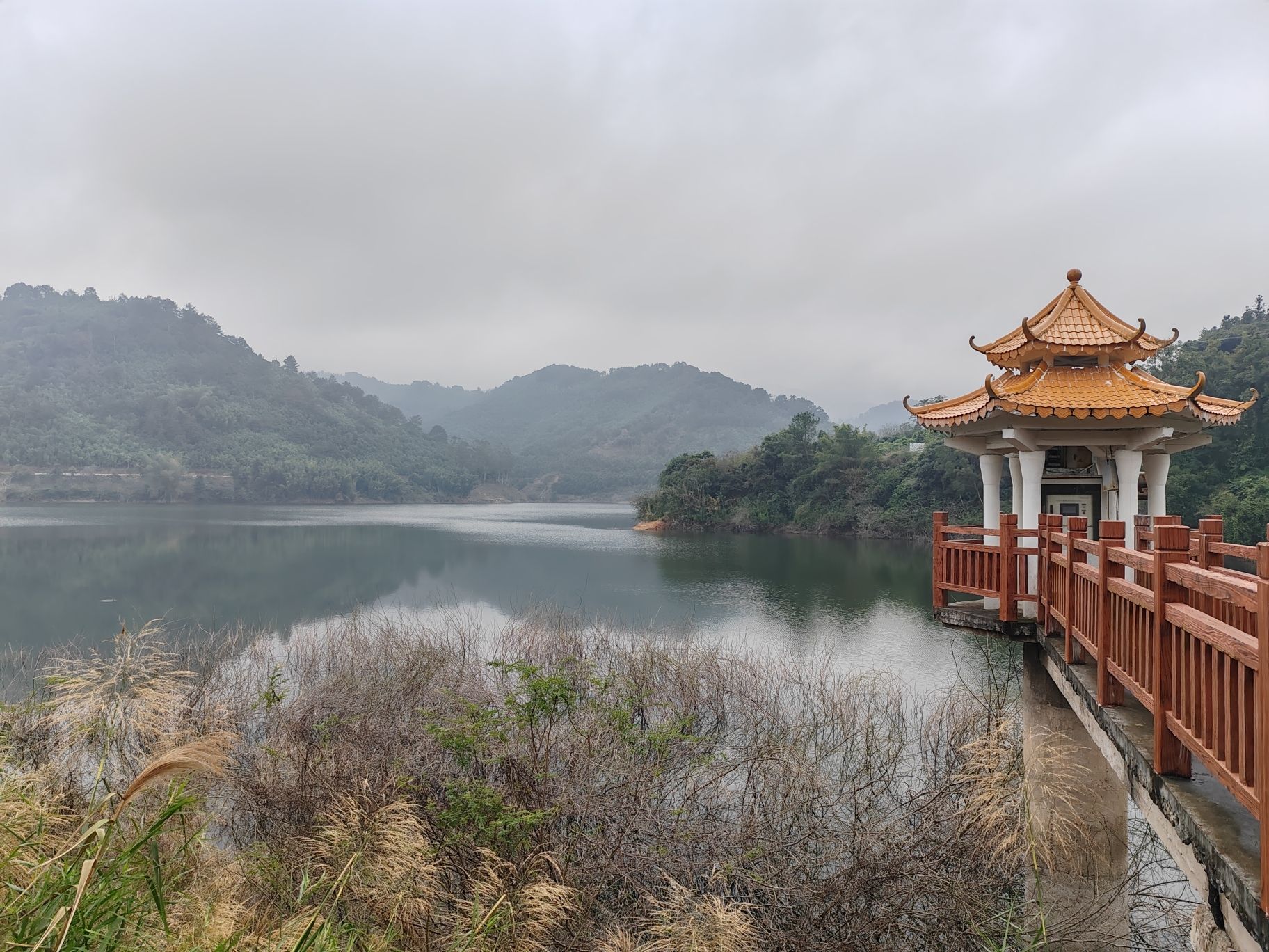郁南县大河国家湿地公园旅行图片 3