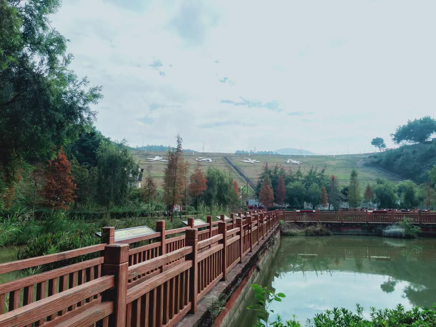 郁南县大河国家湿地公园旅行图片 1