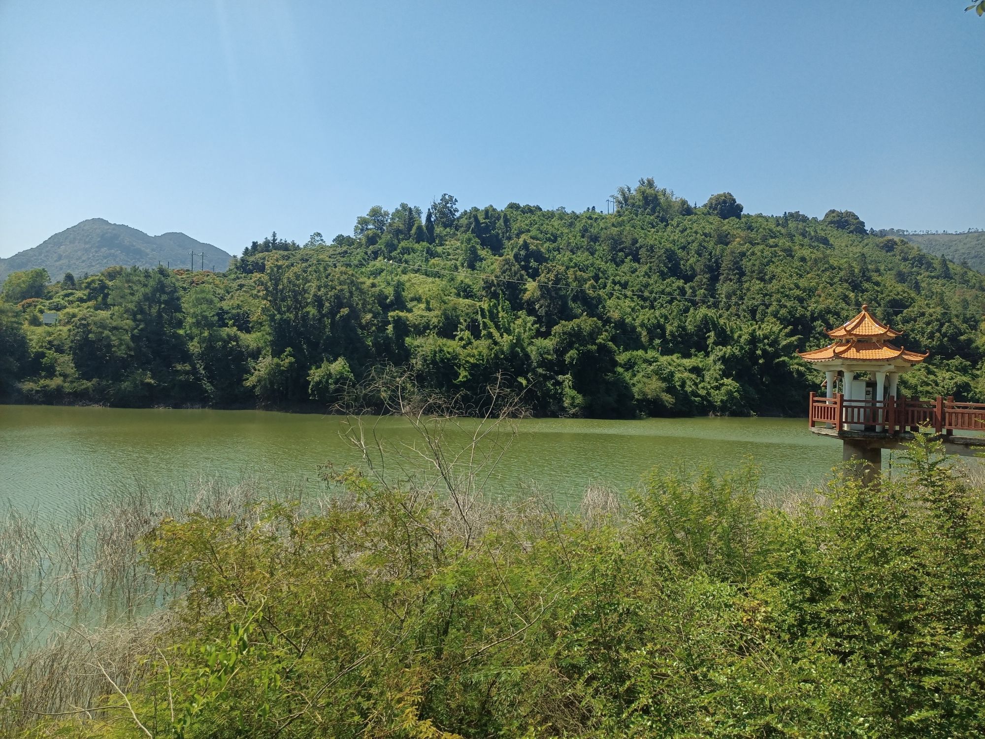 郁南县大河国家湿地公园旅行图片 2
