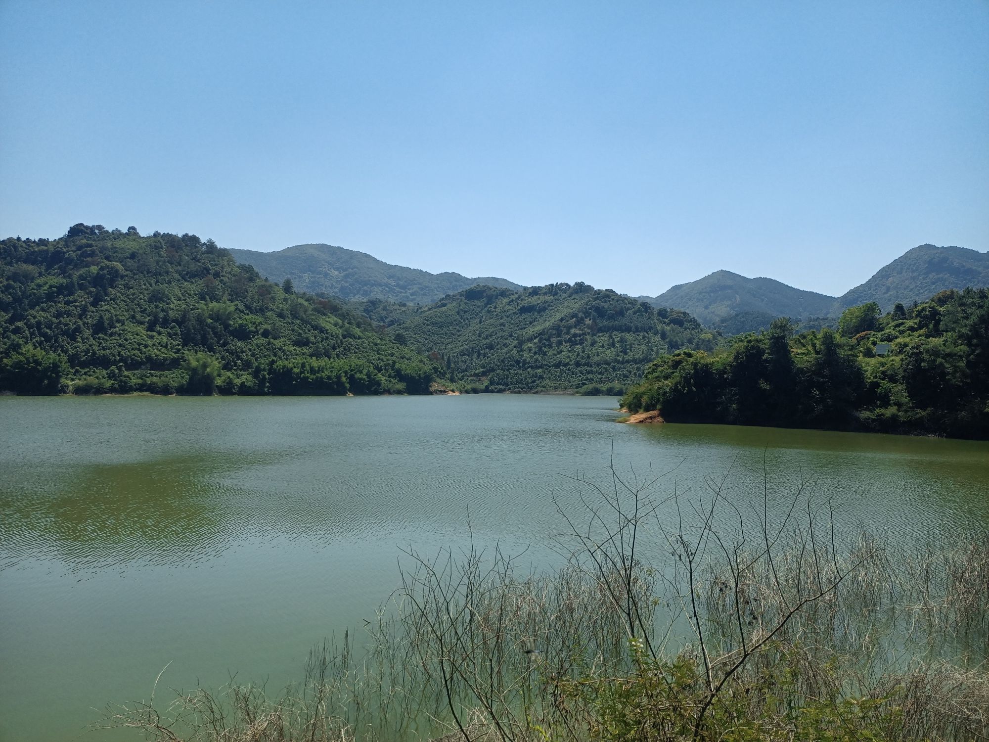 郁南县大河国家湿地公园旅行图片 1