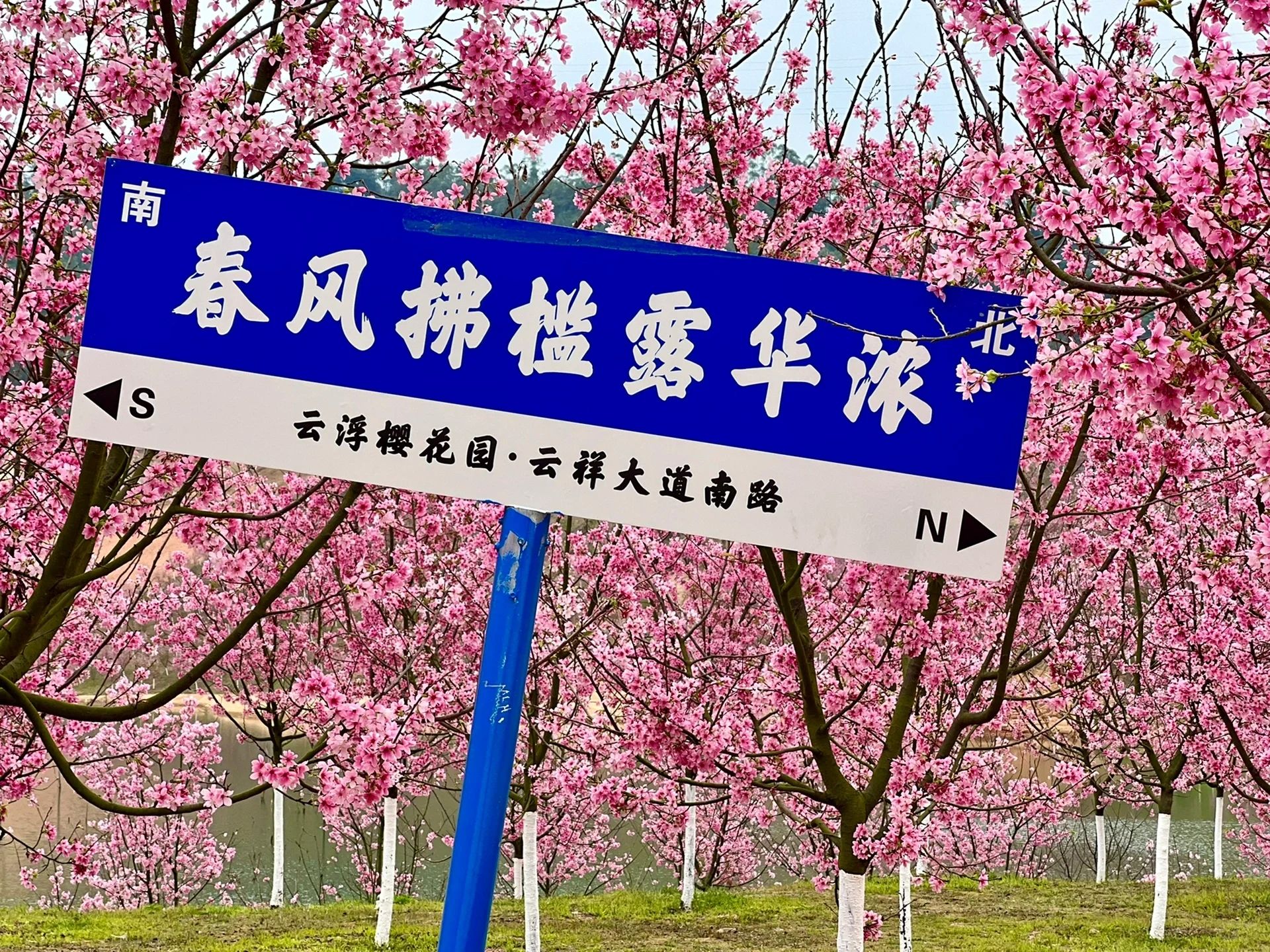 云谷公园旅行图片 1