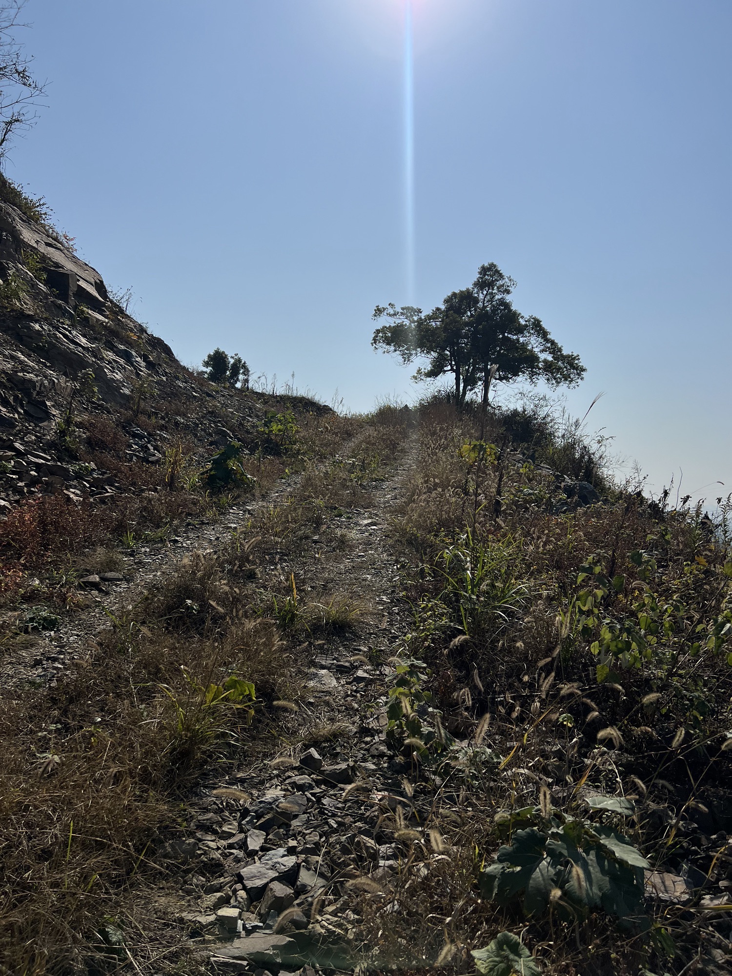 青天寺旅行图片 3
