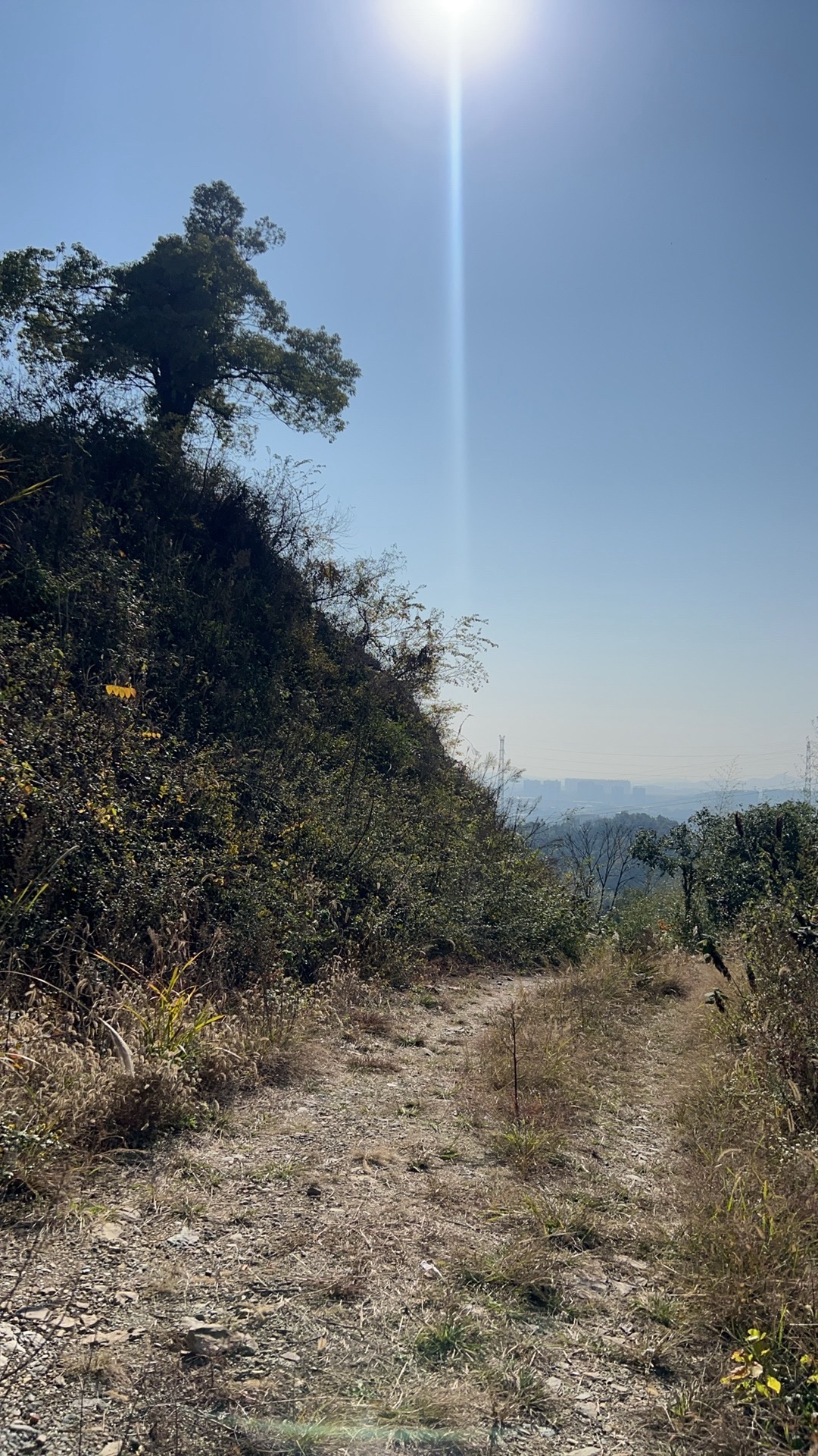 青天寺旅行图片 2