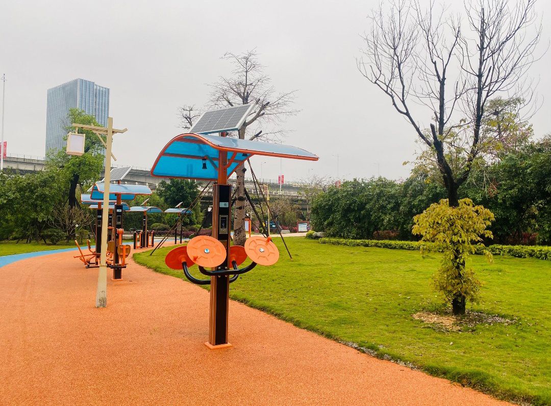 月港湿地公园旅行图片 3