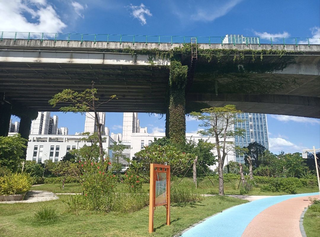 月港湿地公园旅行图片 1