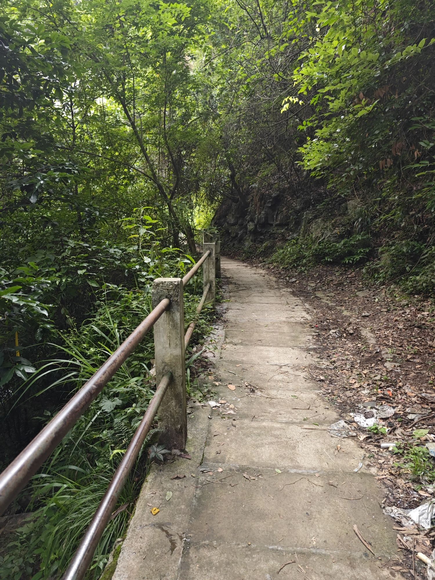 雷打岩旅行图片 2
