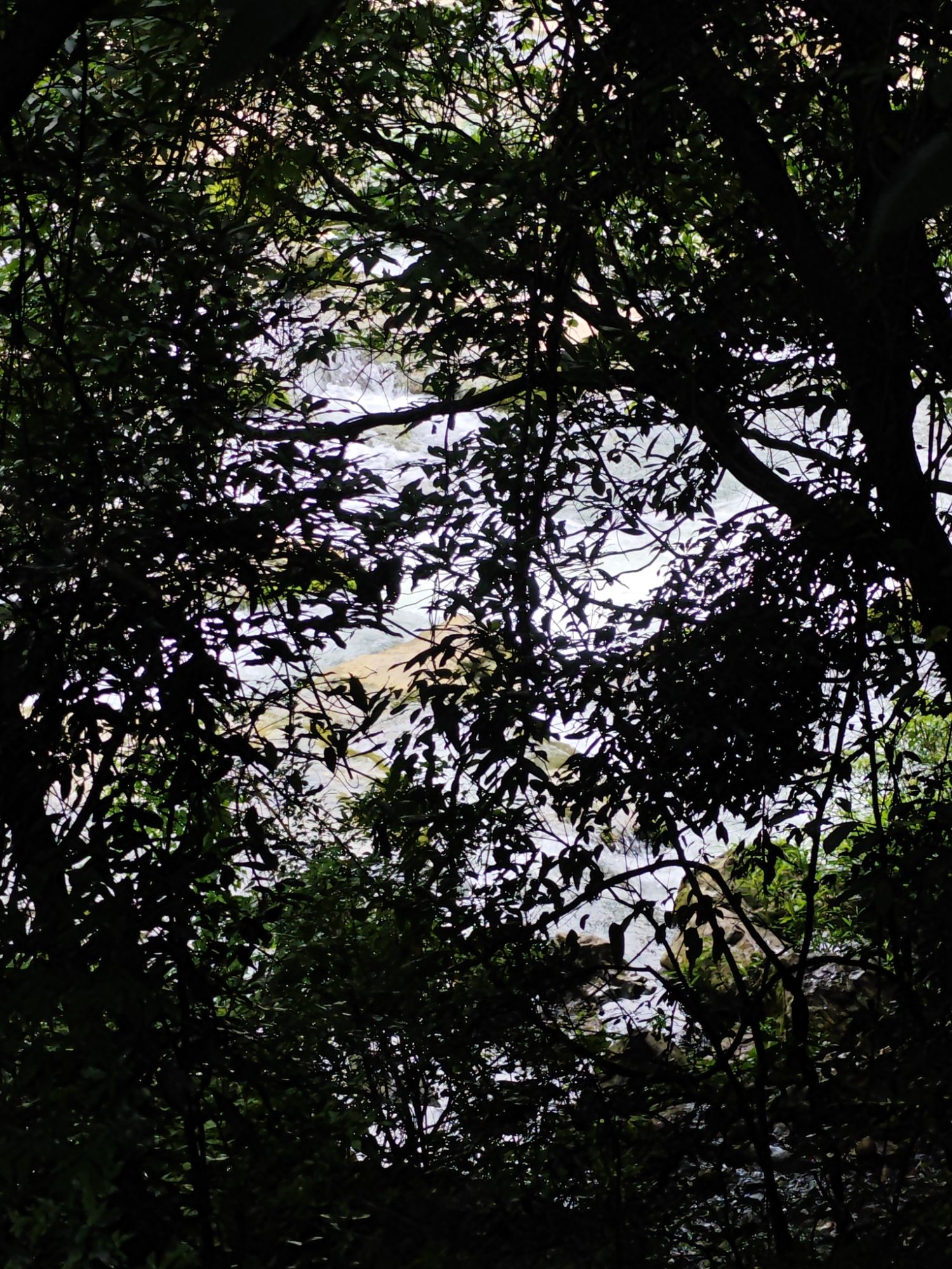 雷打岩旅行图片 1