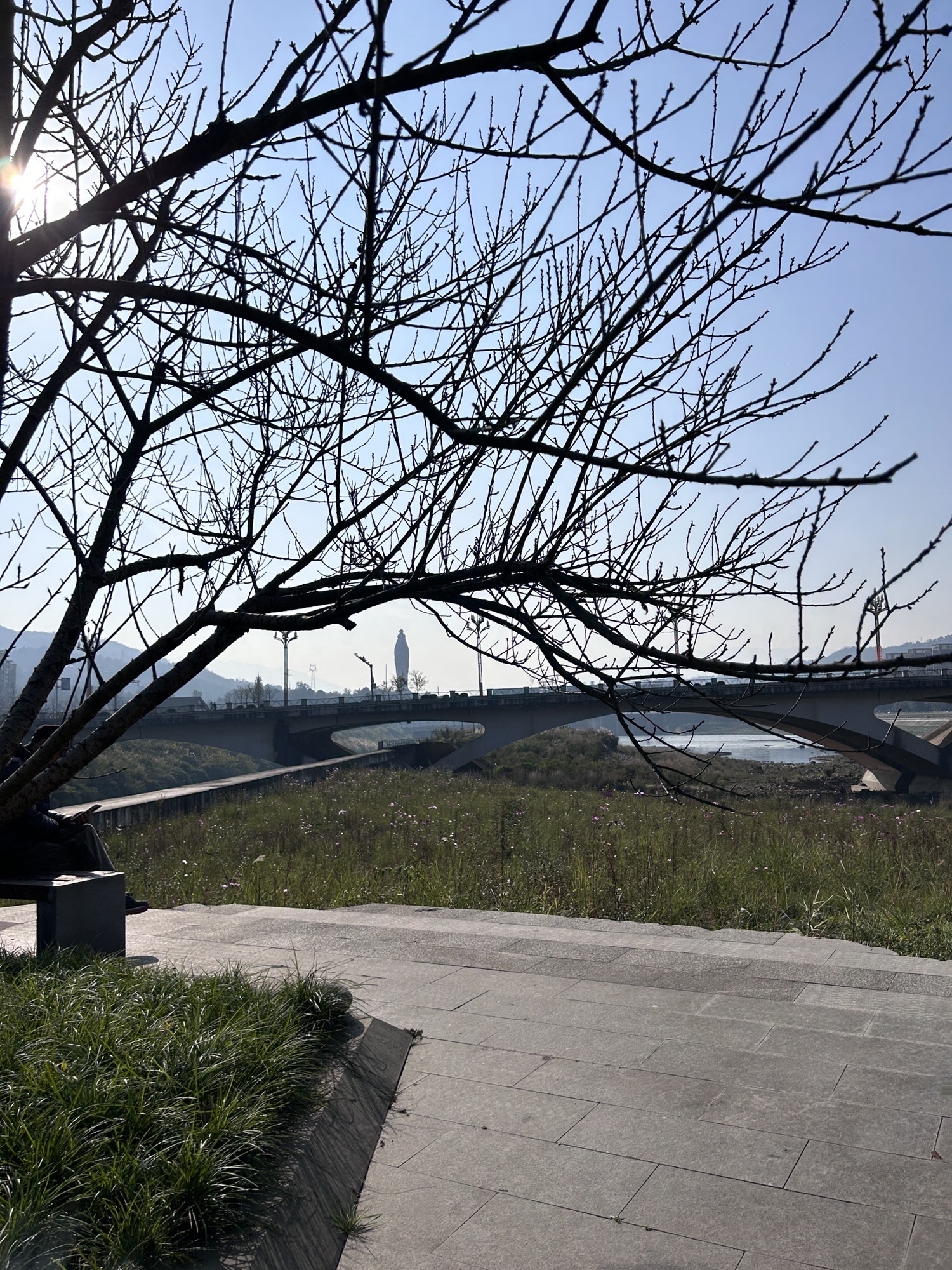 桃花岛公园旅行图片 2