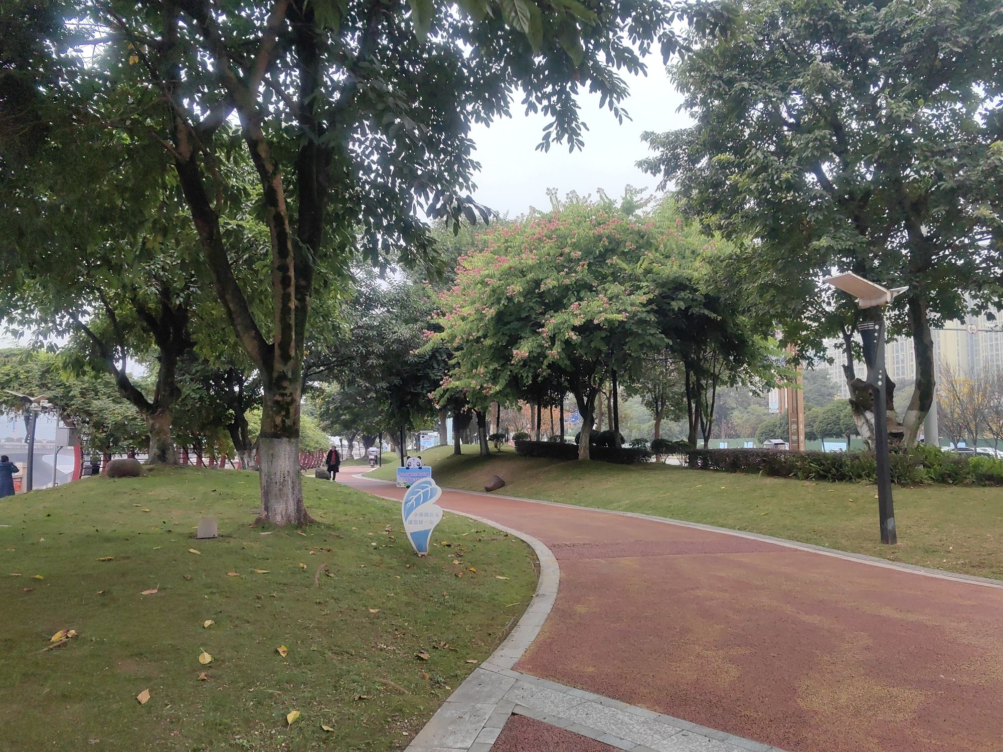 桃花岛公园旅行图片 3