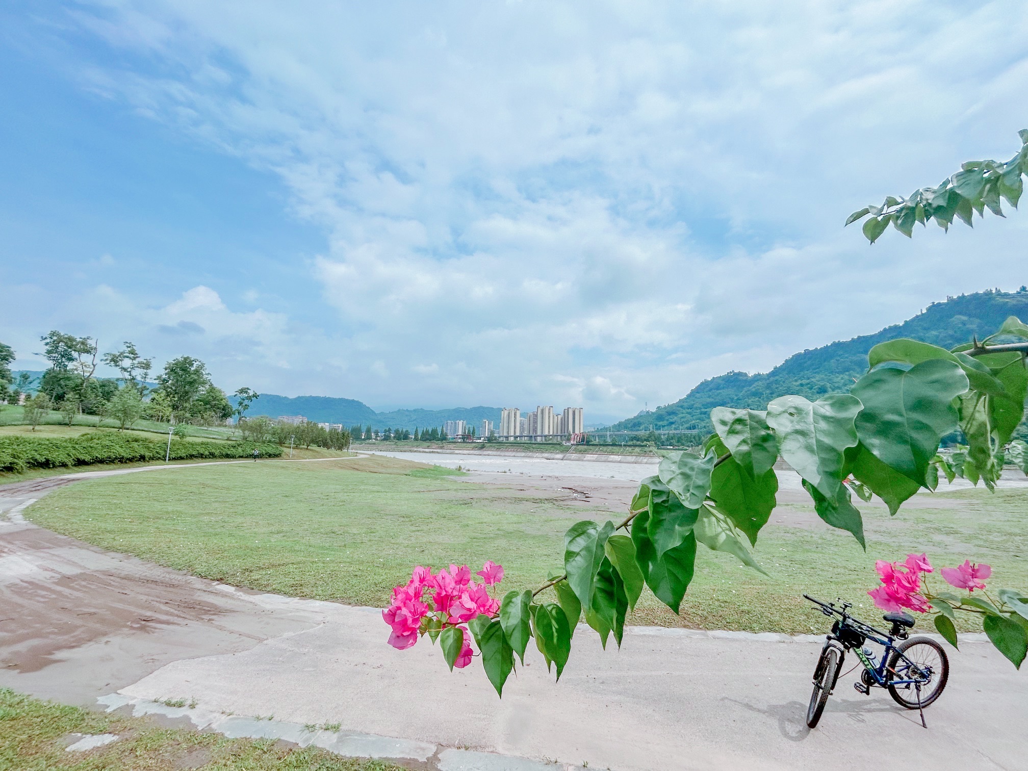 桃花岛公园旅行图片 1