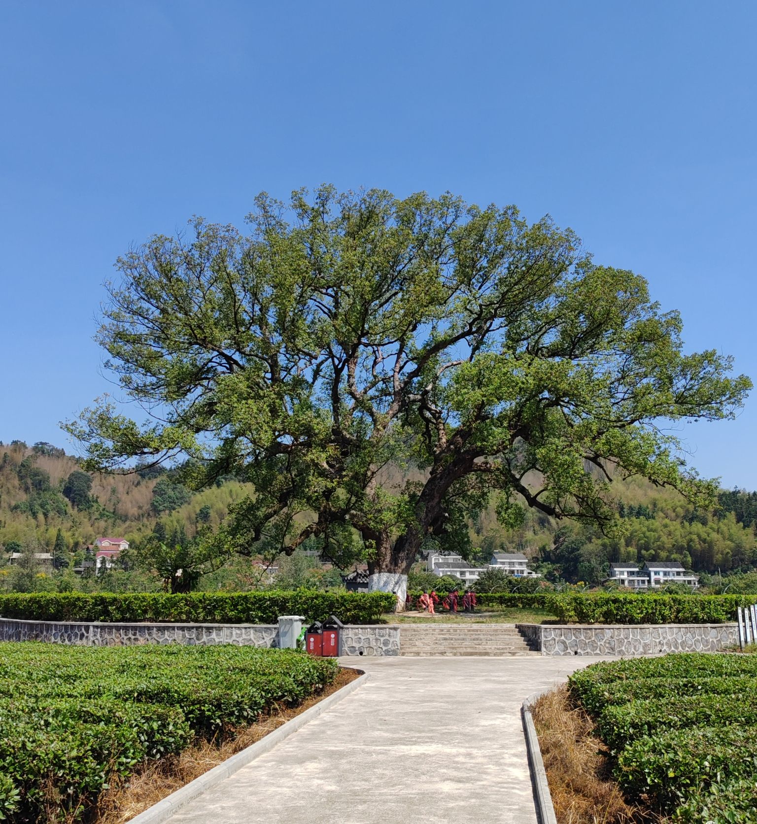 夷望溪景区旅行图片 2